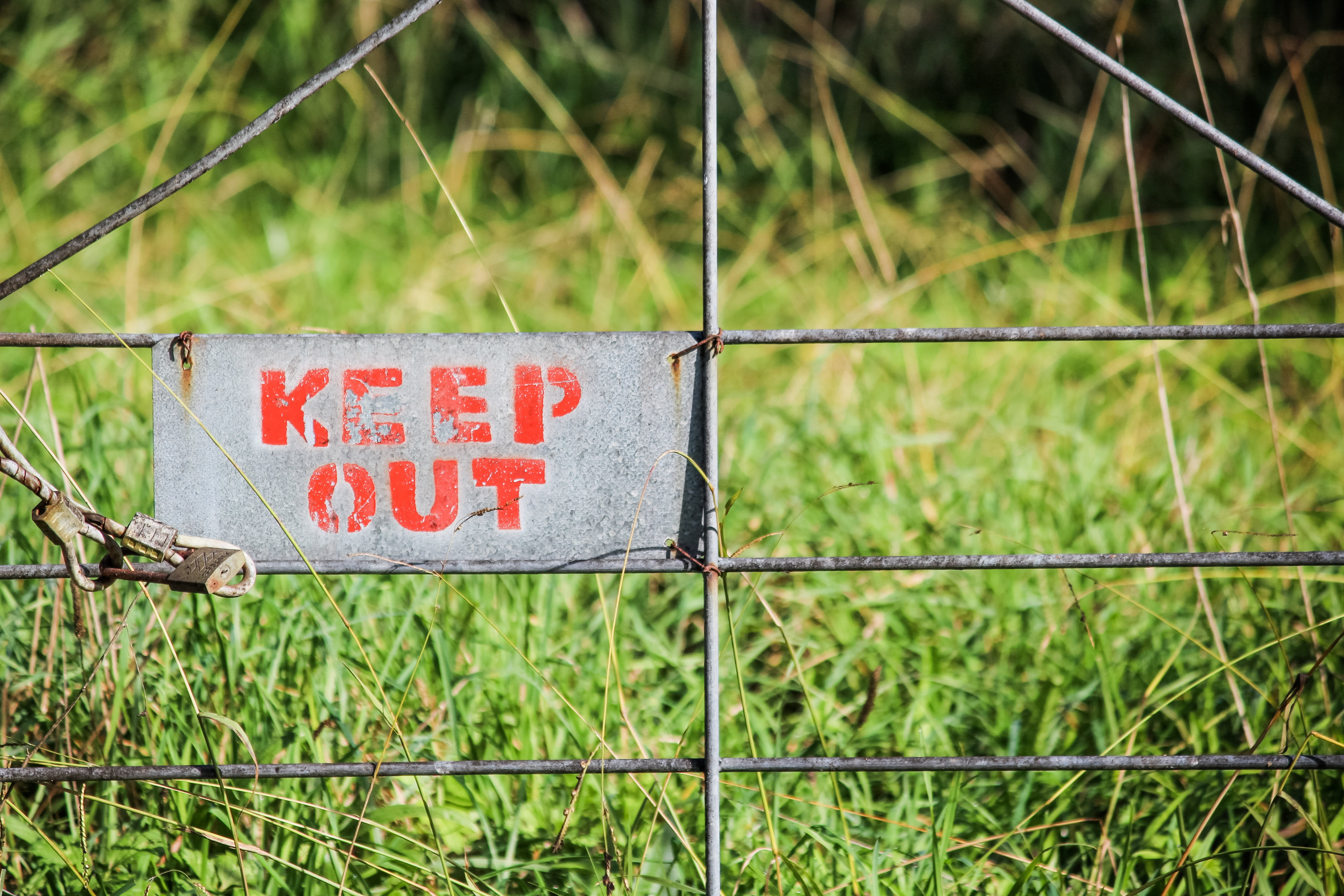 fence, gate, stop, focus on foreground, rules, nature, forbid, message, information, signage, restrict, warning sign, security, green color, prohibited, HD Wallpaper