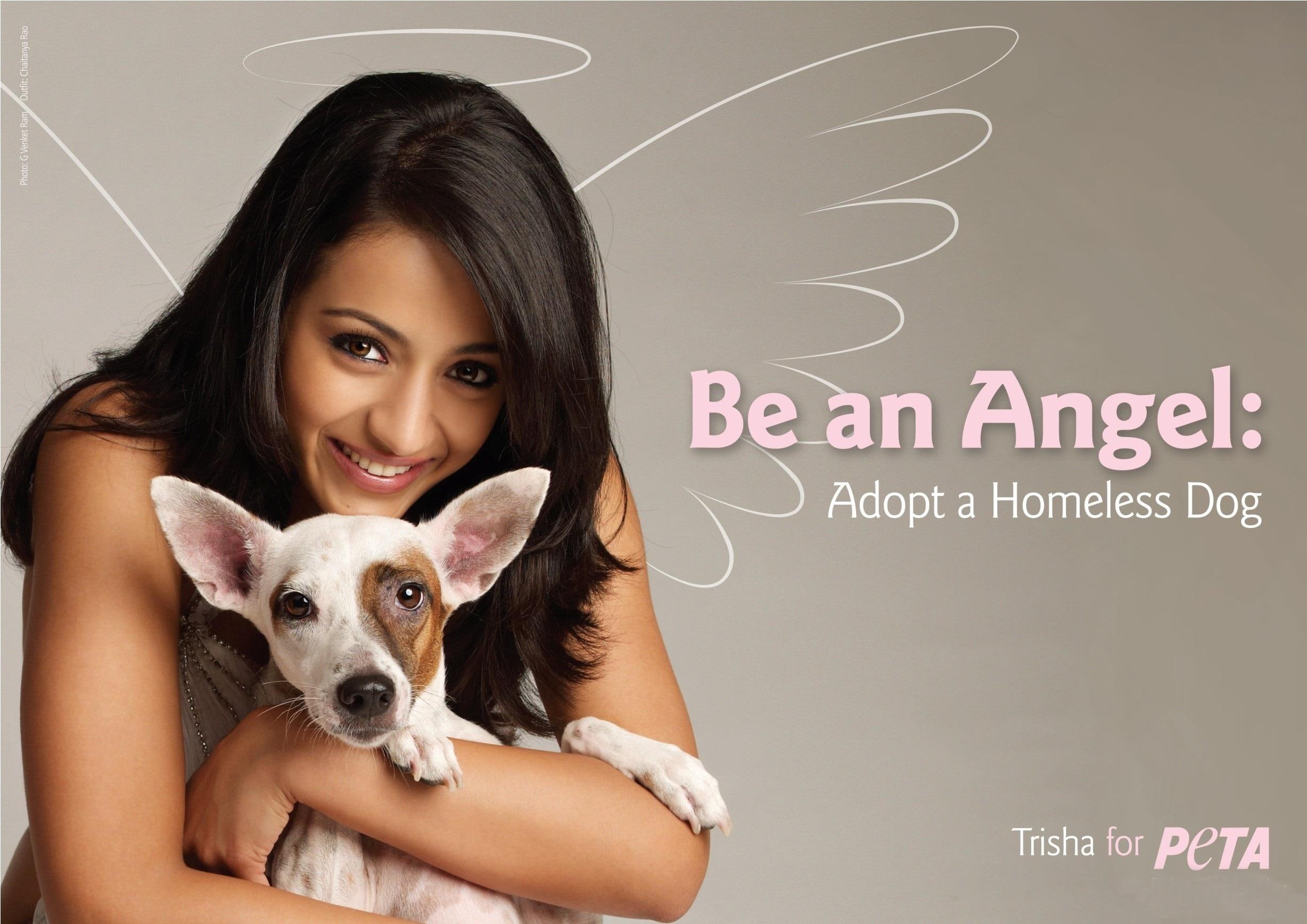 dog, girl, happy, dogs, angel, smile, 1080P, adopt, homeless, animals, want, illustration, HD Wallpaper