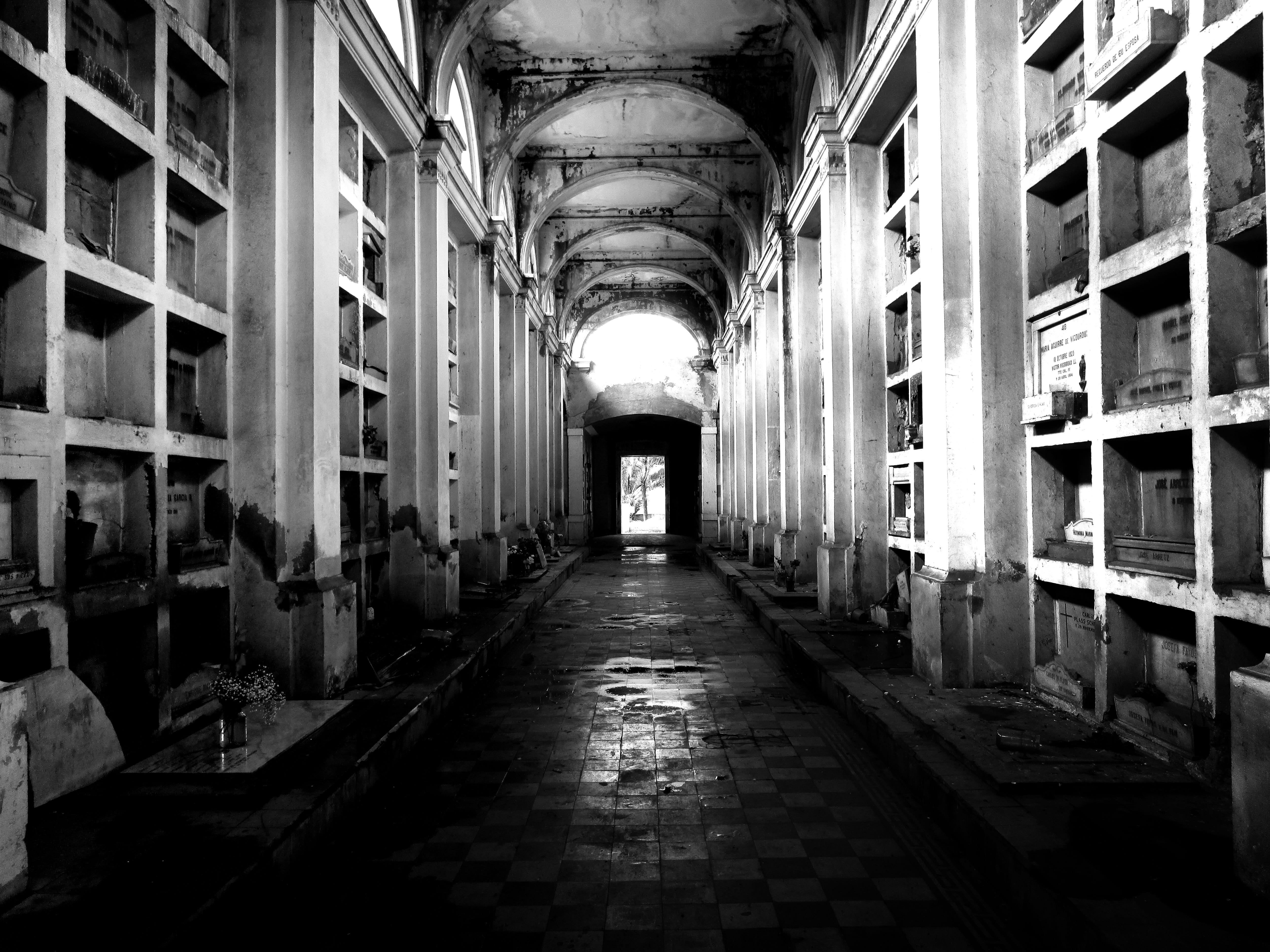 empty, architectural column, vanishing point, grayscale, path, pipe - tube, no people, 5K, ceiling, tomb, lighting equipment, basement, the way forward, HD Wallpaper
