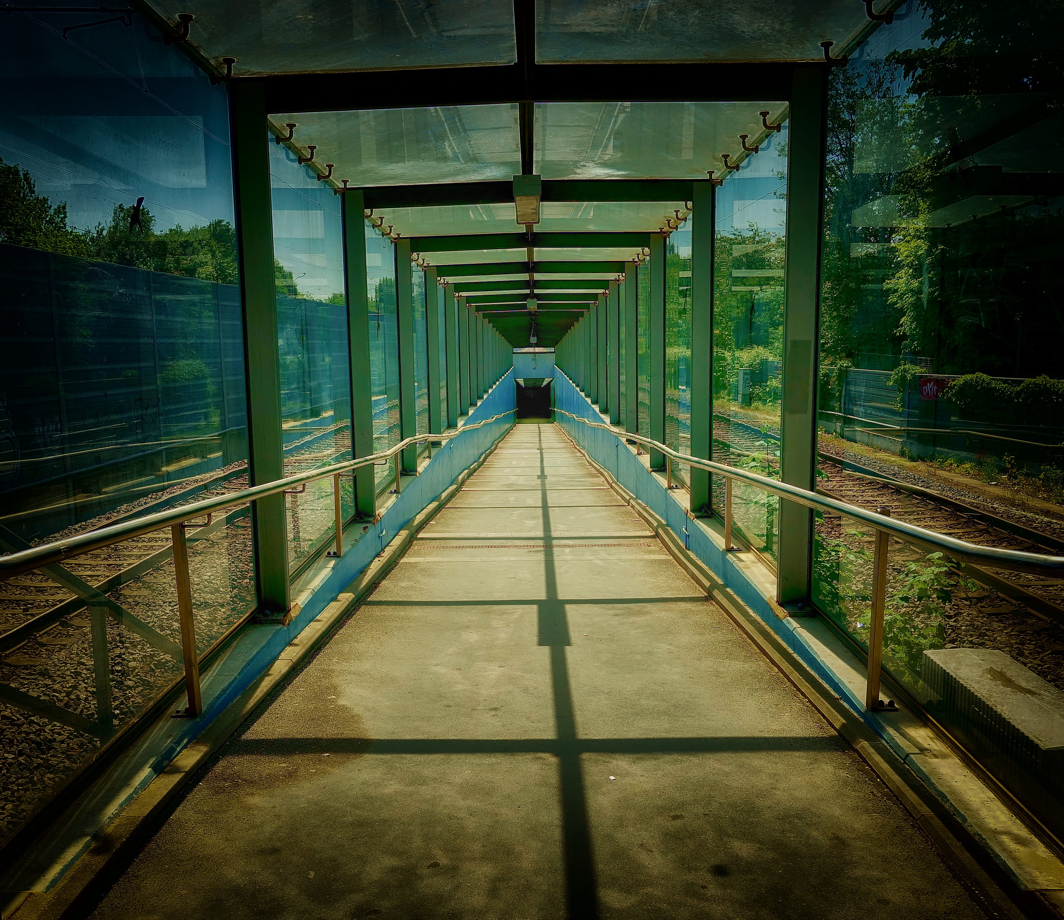 2K, ceiling, gang, day, architecture, passage, no people, empty, nature, tree, footpath, indoors, railing, footbridge, input, diminishing perspective, HD Wallpaper