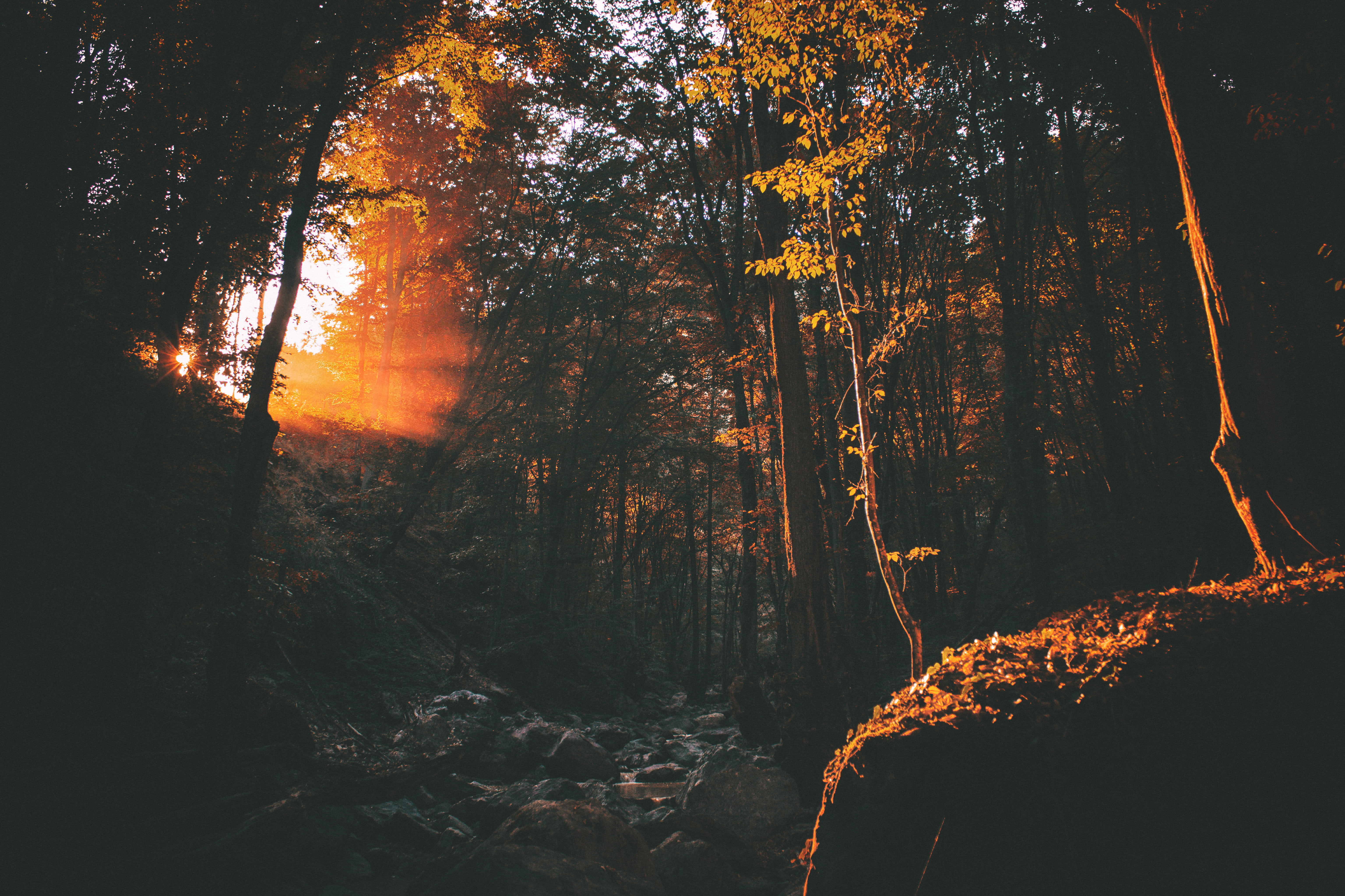 fall, nature, tranquil scene, dark, sunbeam, light, rocks, travel, change, sunset, tranquility, landscape, park, streaming, land, orange color, trees, tree trunk, HD Wallpaper