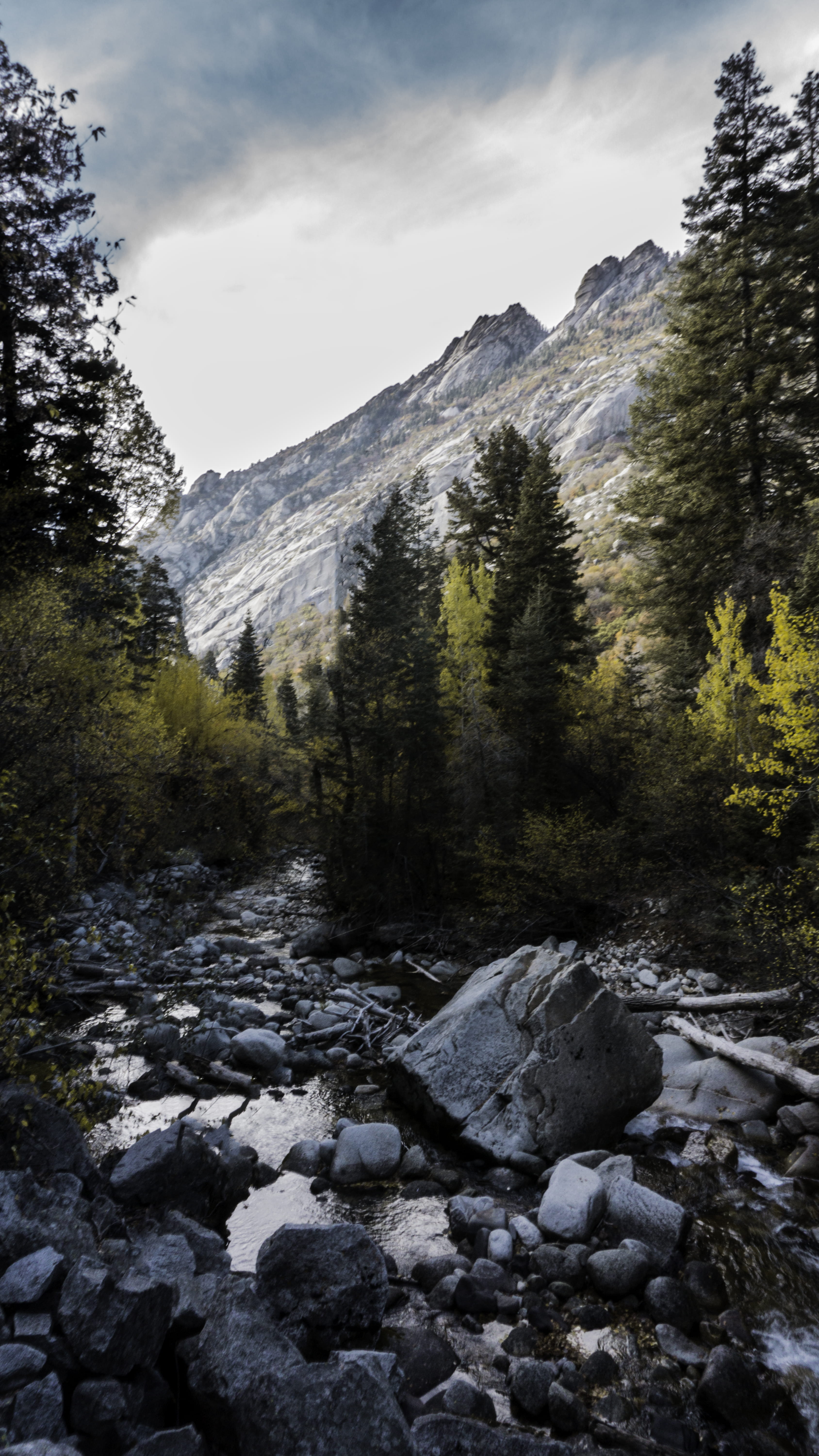 tree, day, lighting, no people, nature, evening, utah, river, canyon, solid, tranquility, non-urban scene, stream - flowing water, outdoors, evergreen, Phone HD Wallpaper