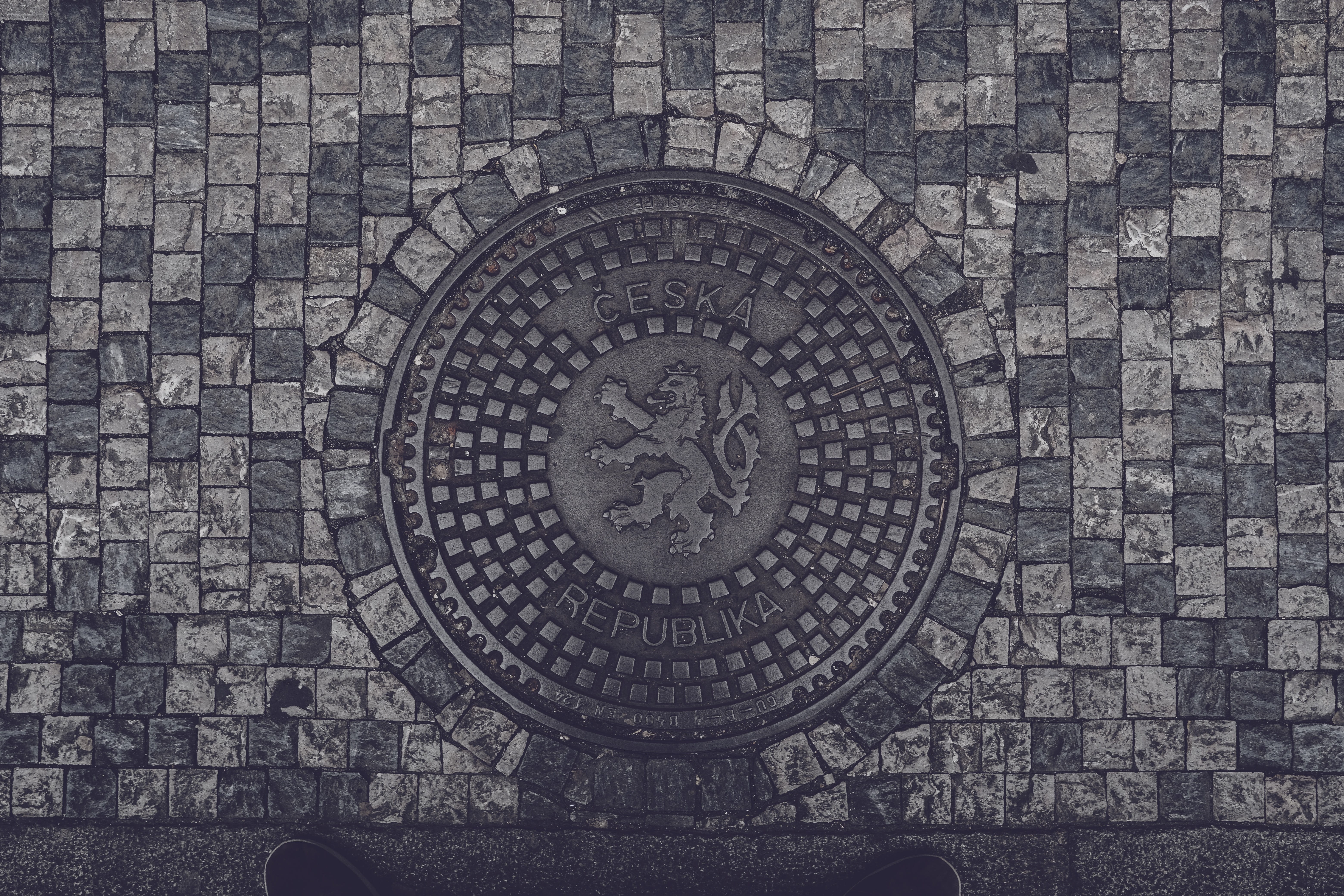 head, metal, the past, badge, the lion, 5K, channel, sign, circle, representation, backgrounds, logo, directly above, geometric shape, too, creativity, HD Wallpaper