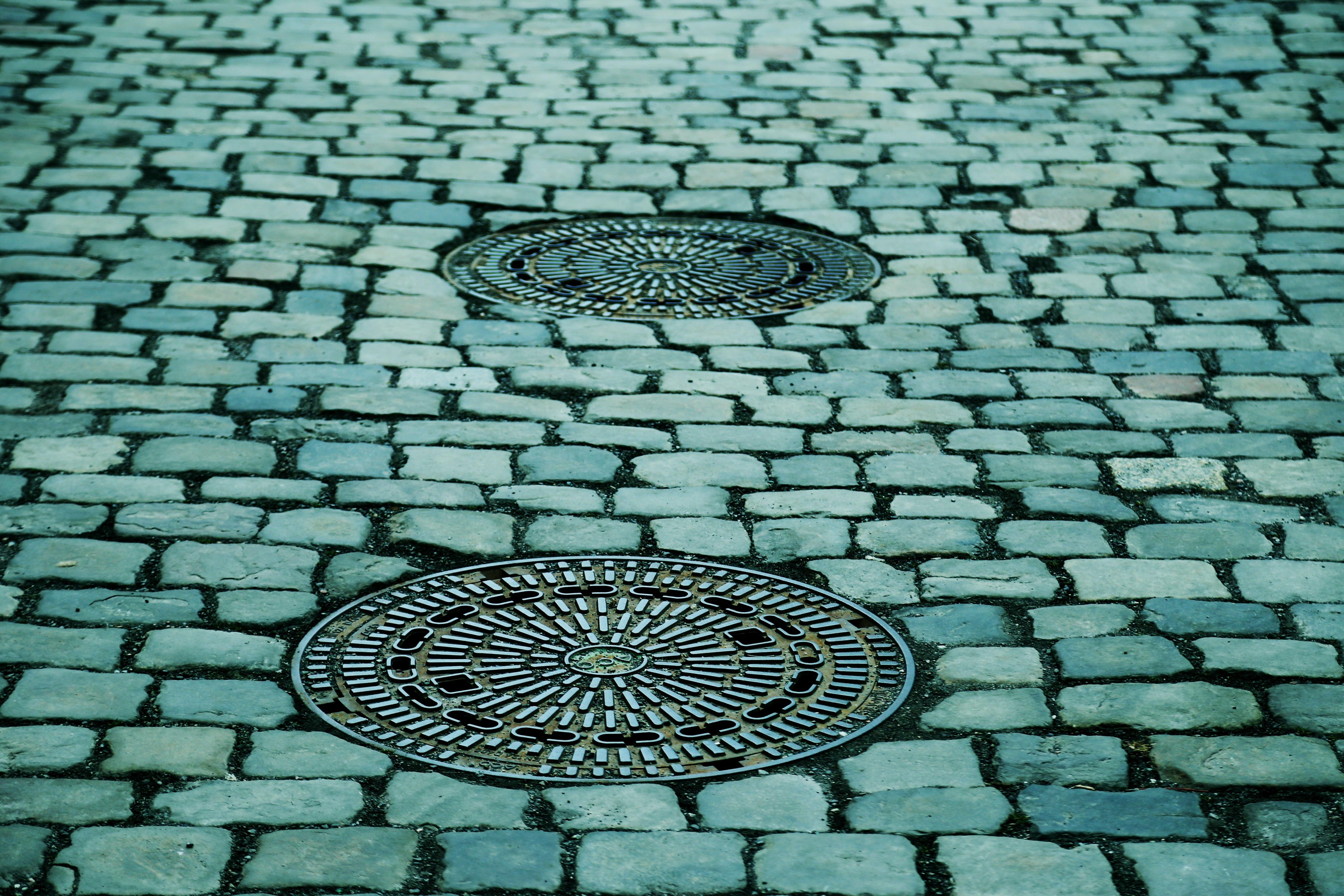 outdoors, high angle view, manhole covers, two, pavement, evening, steel, pattern, day, cobblestone, gray, city, patch, close-up, 5K, animal, design, paving stone, HD Wallpaper