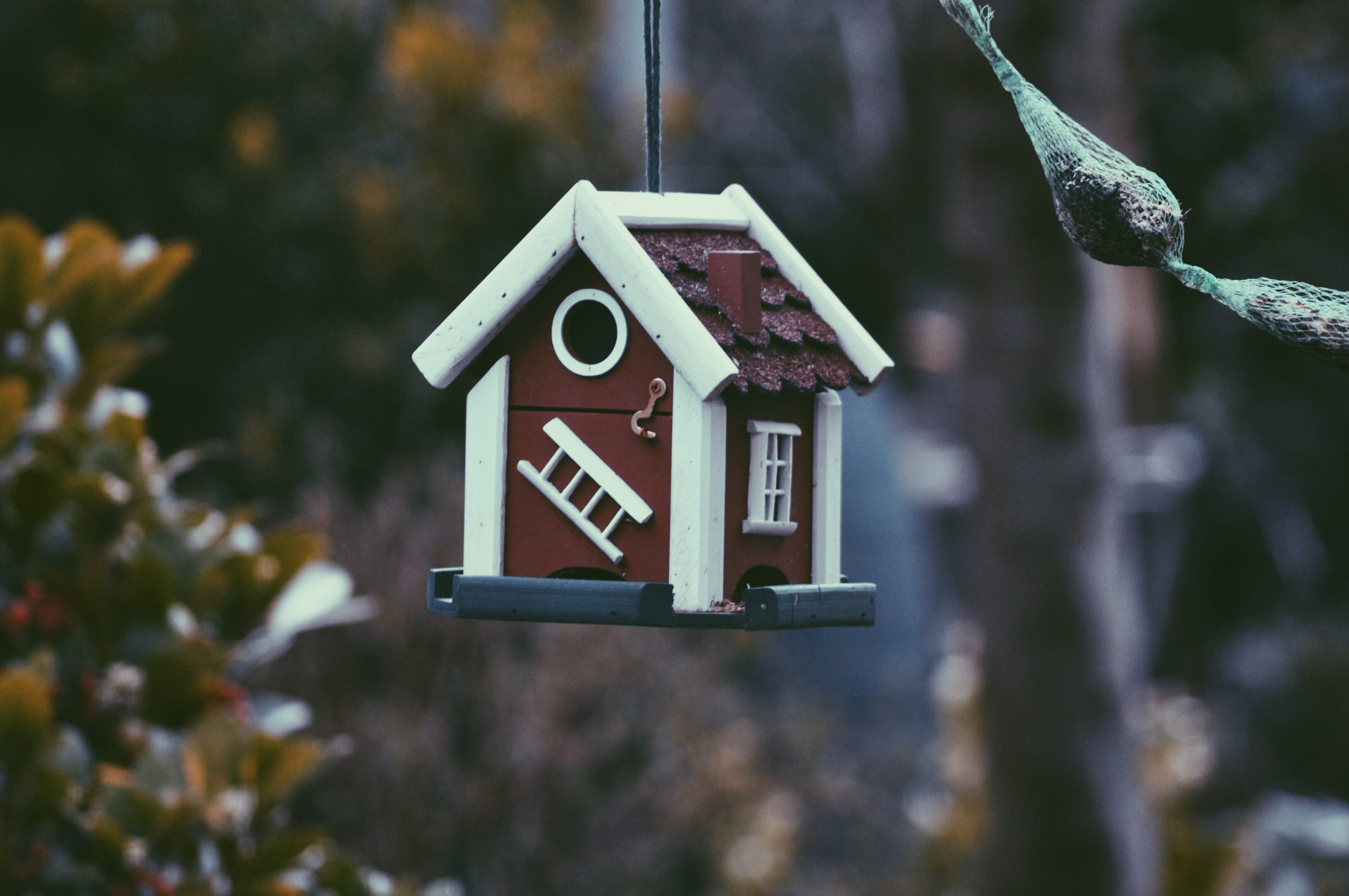 sign, bird house, red, focus, danger, empty, close-up, copyspace, road sign, house, communication, message, blank, bird, white, warning sign, focus on foreground, HD Wallpaper