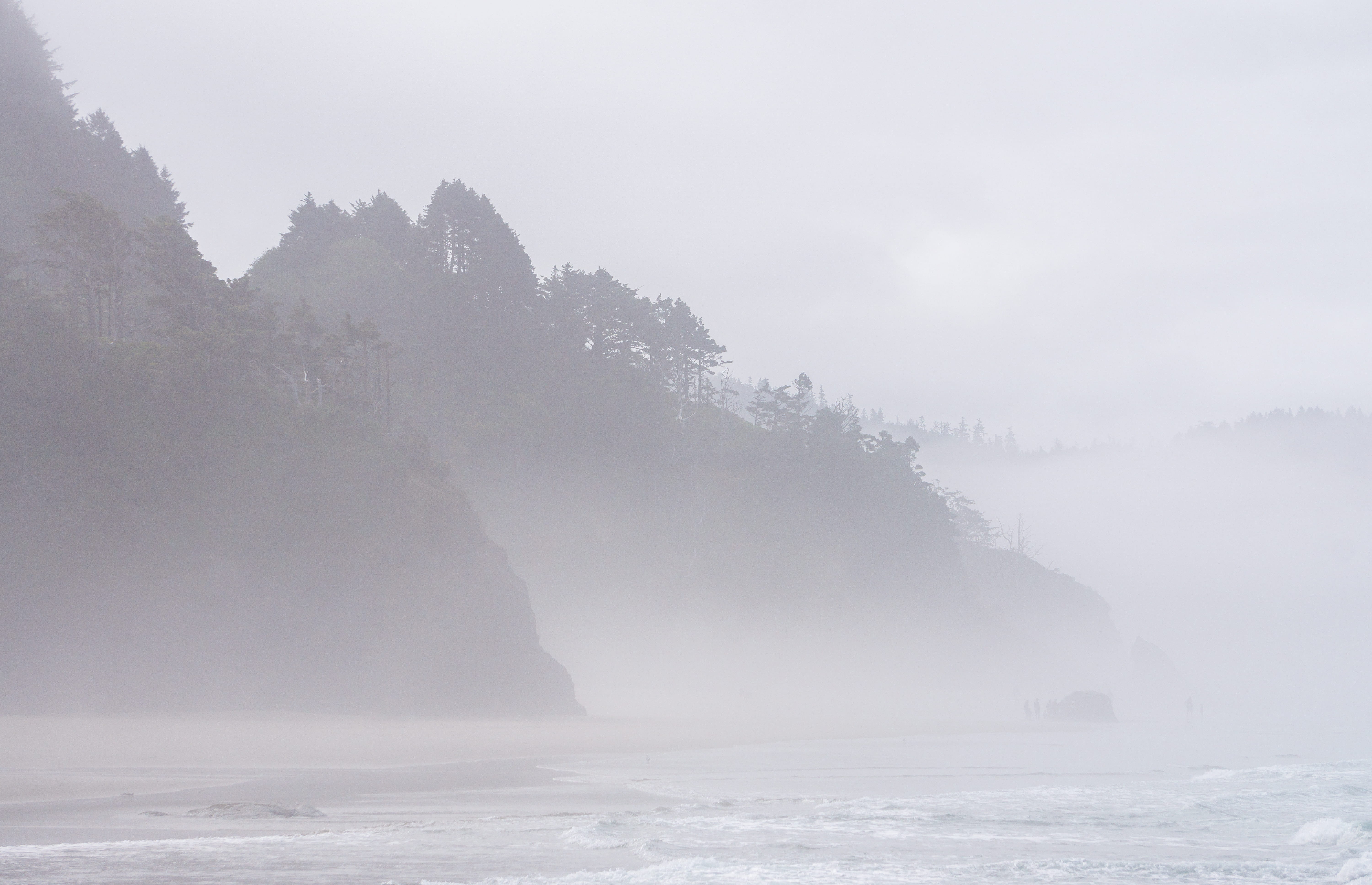 hazy, idyllic, waterfront, water, gray, tranquility, day, 5K, beauty in nature, ocean, foggy, shoreline, beach, woods, waves, pnw, grey, sky, weather, HD Wallpaper