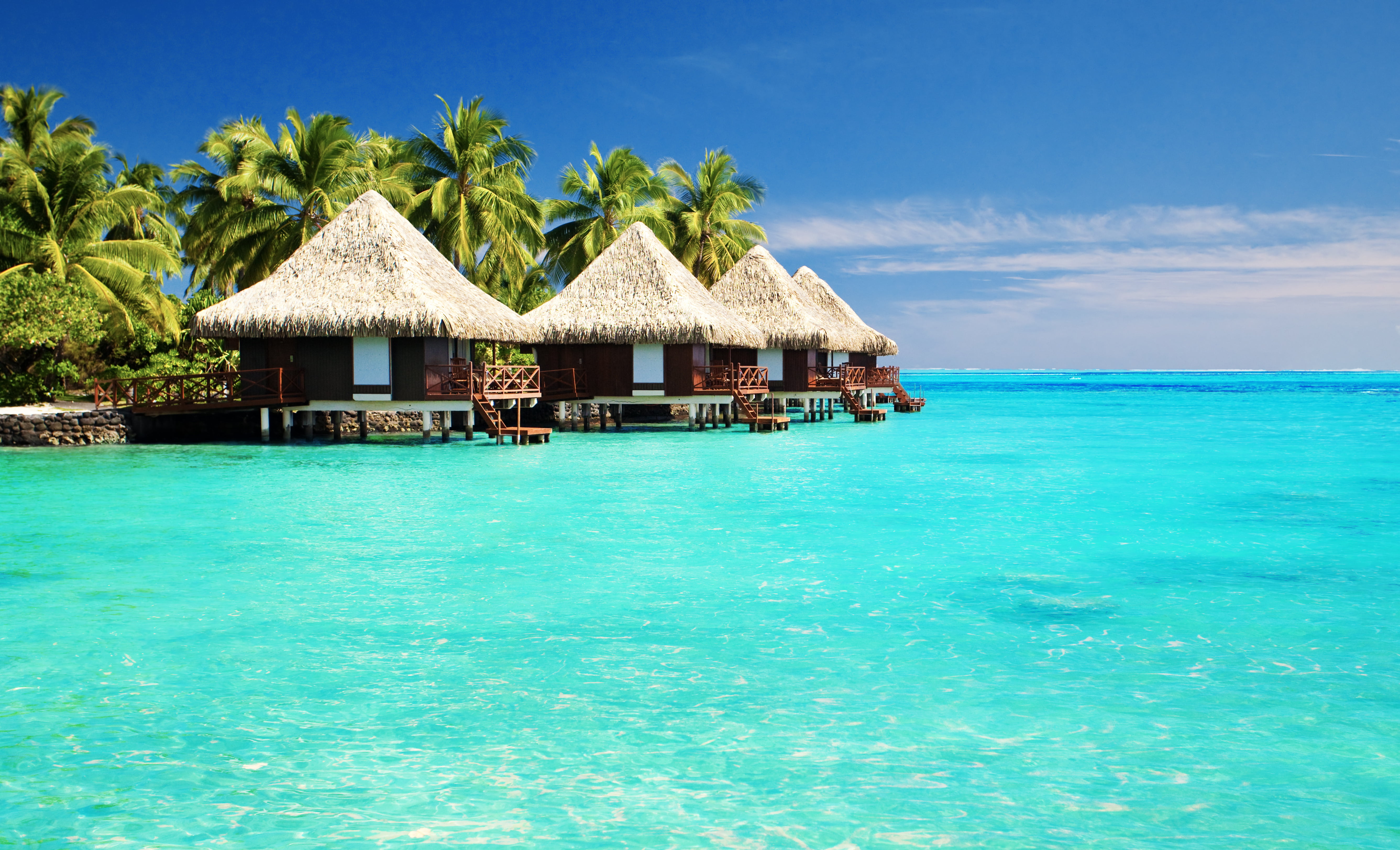 island, sand, vacations, architecture, idyllic, beach, luxury, lagoon, water, travel Destinations, palm trees, landscape, tree, caribbean, south Male Atoll, HD Wallpaper