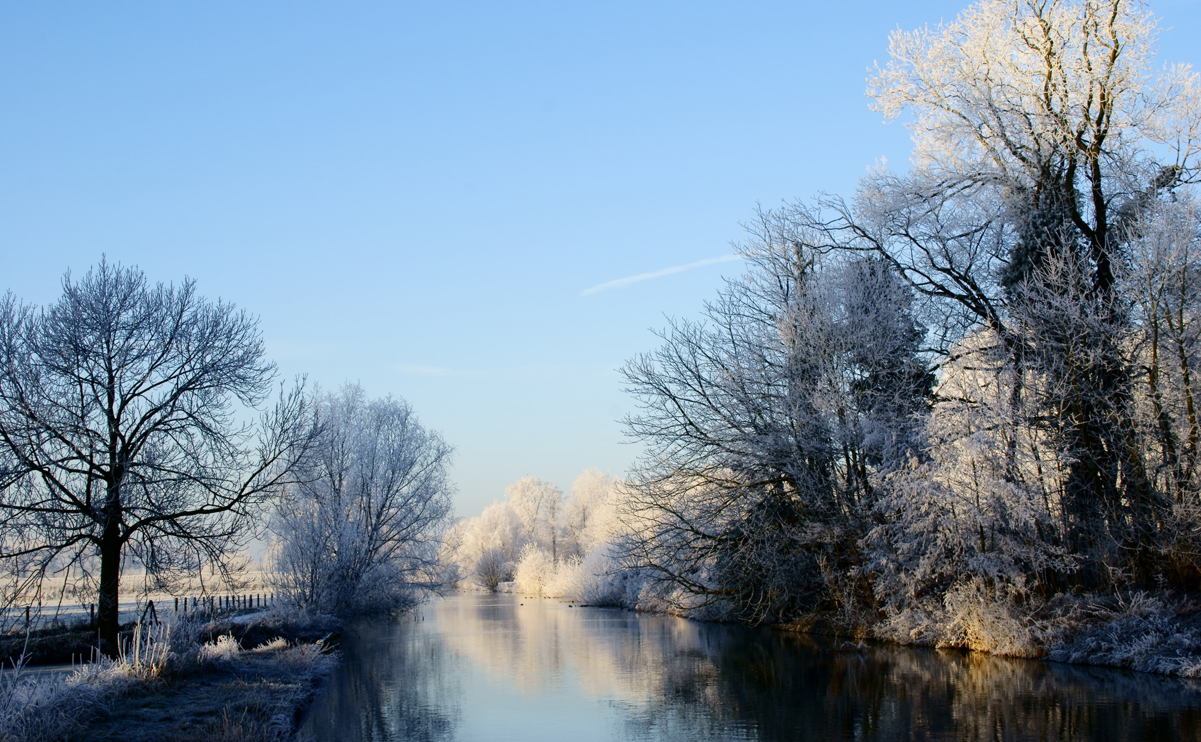 plant, Heaven On Earth, sky, covered, Scene, Netherlands, Reflection, Landscape, tranquil scene, bare tree, 4K, beauty in nature, Photography, Winter, HD Wallpaper