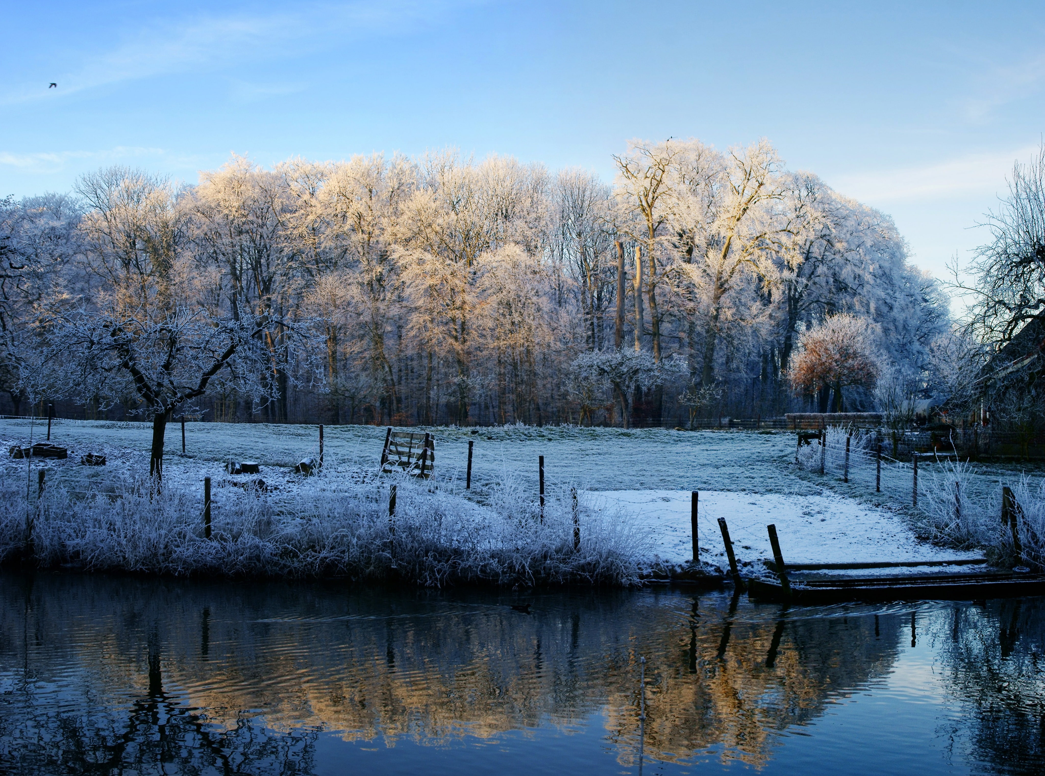 Reflection, Netherlands, tranquility, Beautiful, plant, outdoors, Travel, Frosty, Snow, Utrecht, Reflections, water, Scenery, Blue, tranquil scene, Beauty, HD Wallpaper