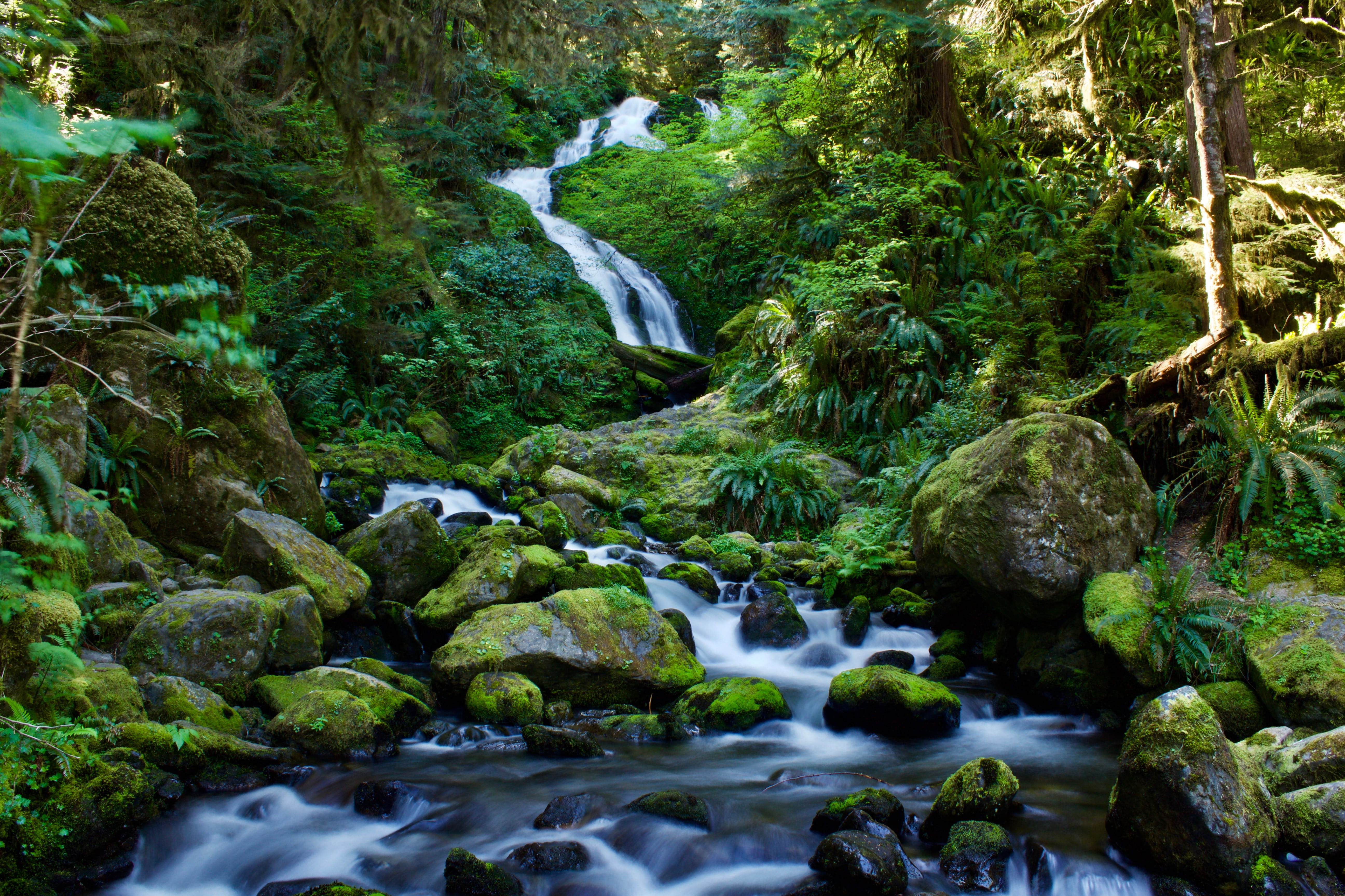 nature, slow shutter, motion, land, blurred motion, rock - object, green color, long exposure, united states, scenics - nature, rainforest, flowing, tree, HD Wallpaper