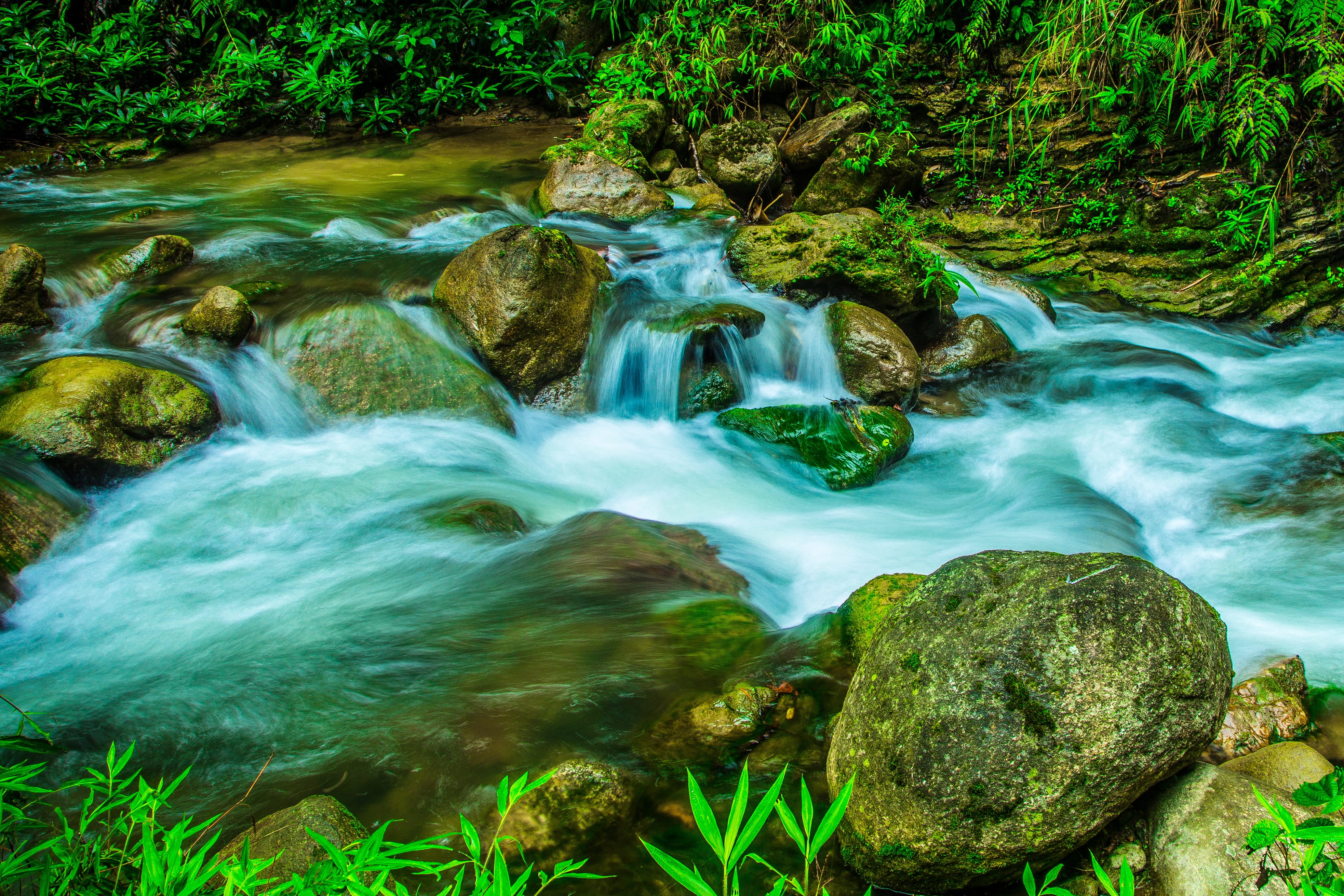 day, tropical Rainforest, no people, water, plant, motion, stream, rock, wet, landscape, rock - Object, blurred Motion, moss, scenics, slow shutter, beauty In Nature, HD Wallpaper