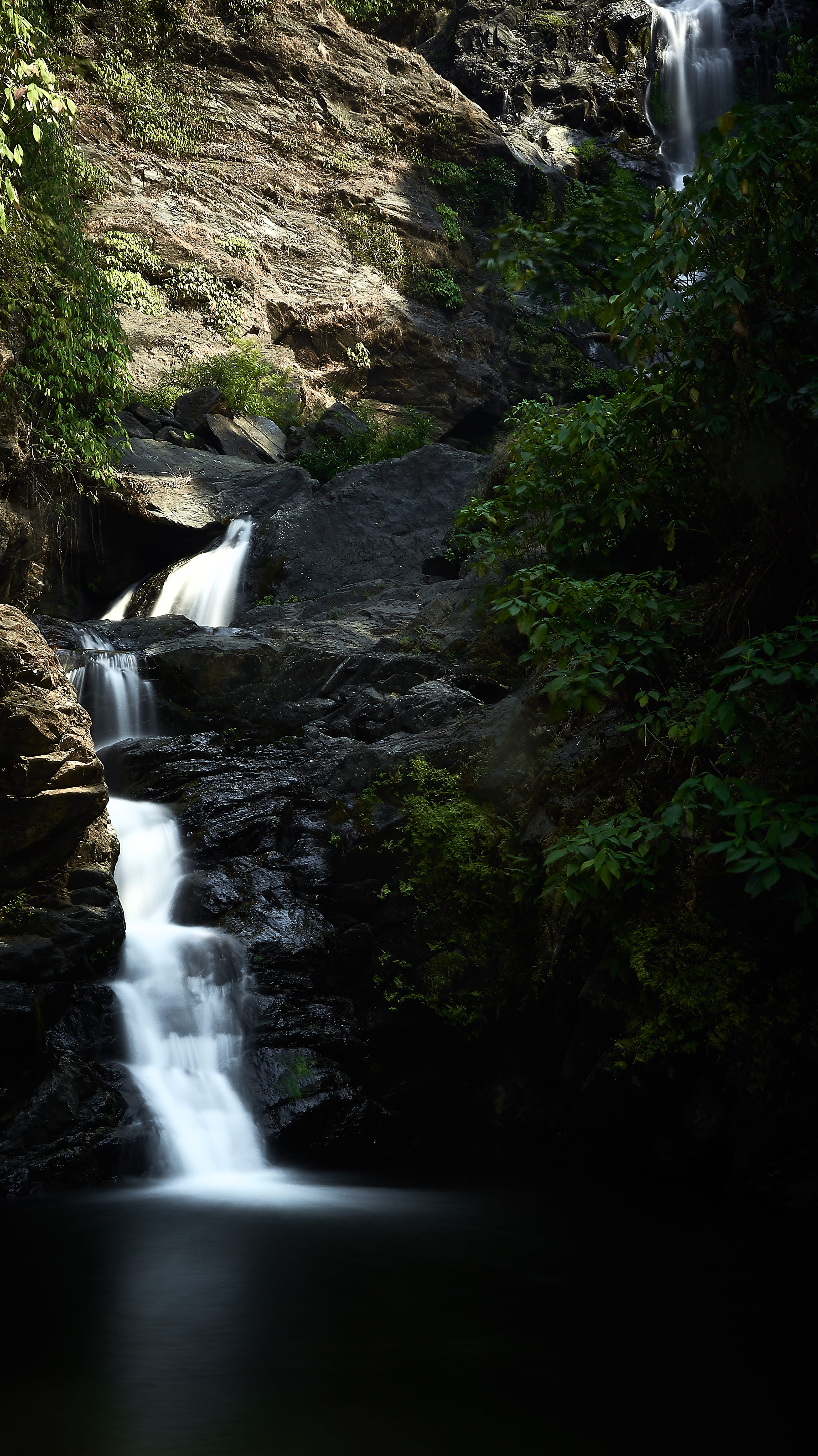 falling water, india, water, landscape photography, flowing water, tree, lake, beauty in nature, plant, south india, landscape, motion, power in nature, Phone HD Wallpaper