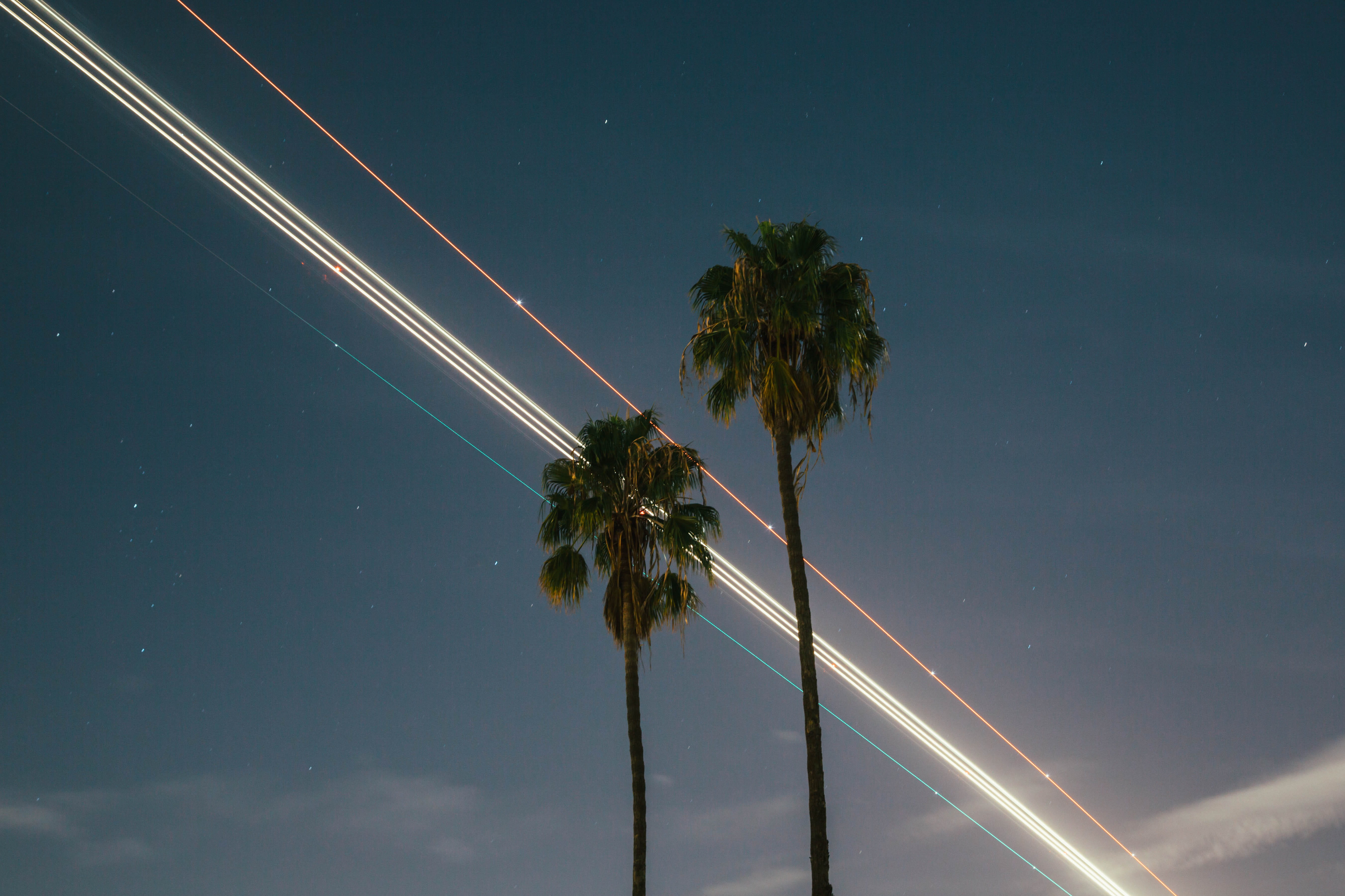 tropical climate, long exposure, trees, star, night, nature, palm, outdoors, tree, airplane, lax, two, lapse, los angele, low angle view, plant, evening, HD Wallpaper