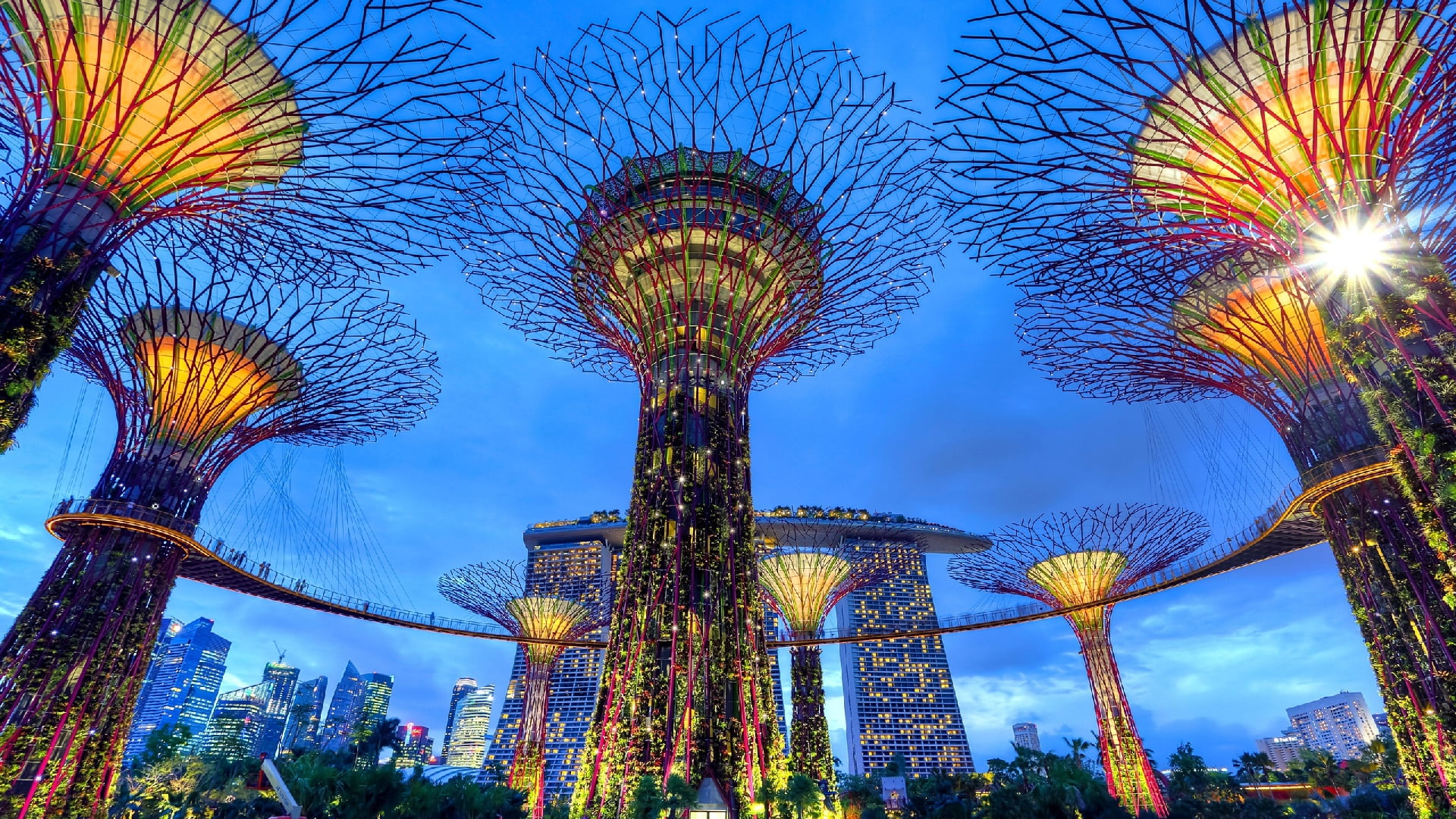 city, day, landmark, low angle view, supertree grove, 1080P, dusk, arts culture and entertainment, outdoors, gardens by the bay, illuminated, marina bay, HD Wallpaper