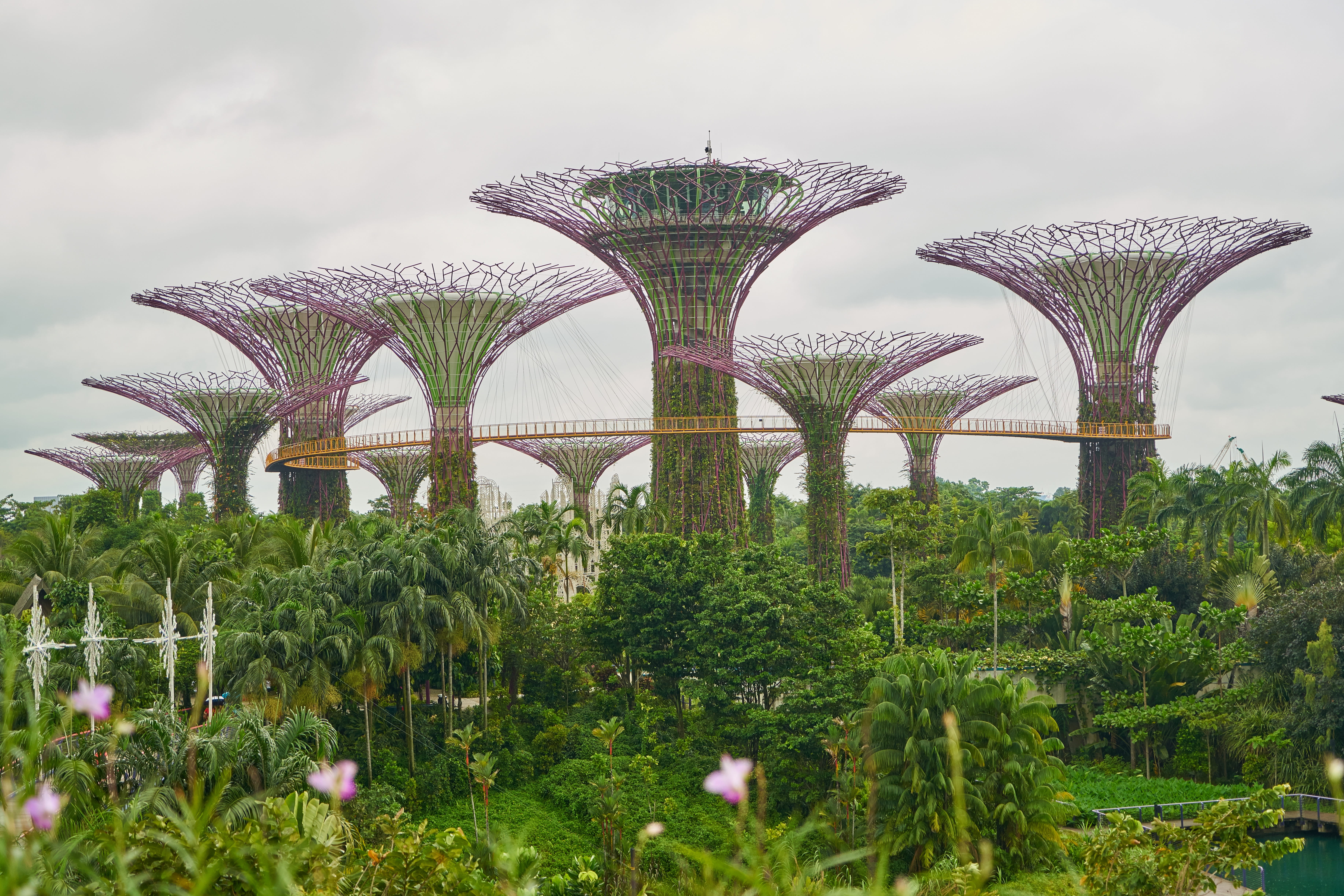 outdoors, plant, travel, green, asian, vivid color, sky, garden, current season, growth, flower, season, day, beauty, outdoor, park, Singapore, beautiful, HD Wallpaper