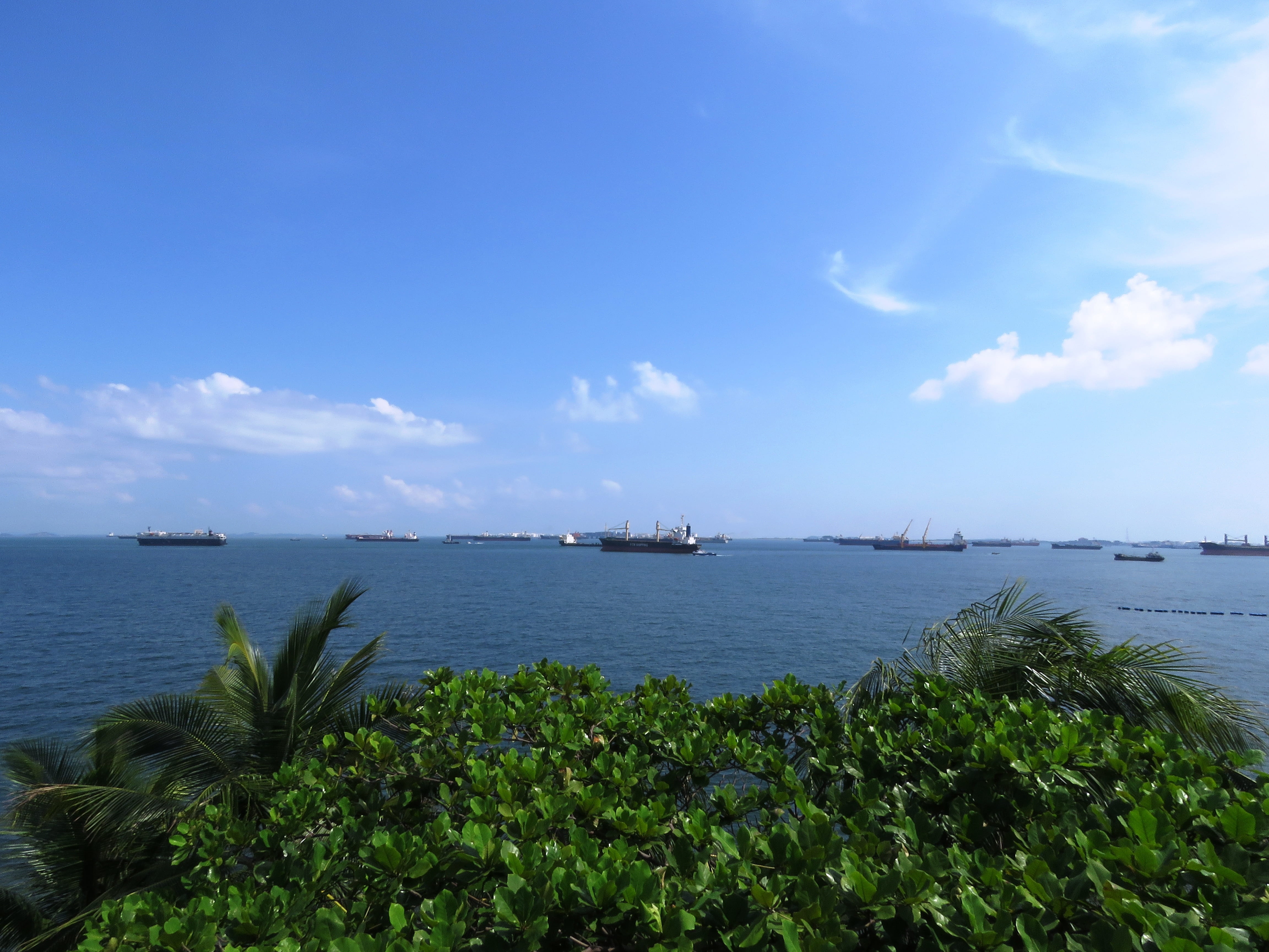 exotic, island, cloud, bay, palm, plant, idyllic, beach, holiday, shore, blue, maldives, outdoors, horizon over water, cloud - sky, relaxation, tranquil scene, HD Wallpaper