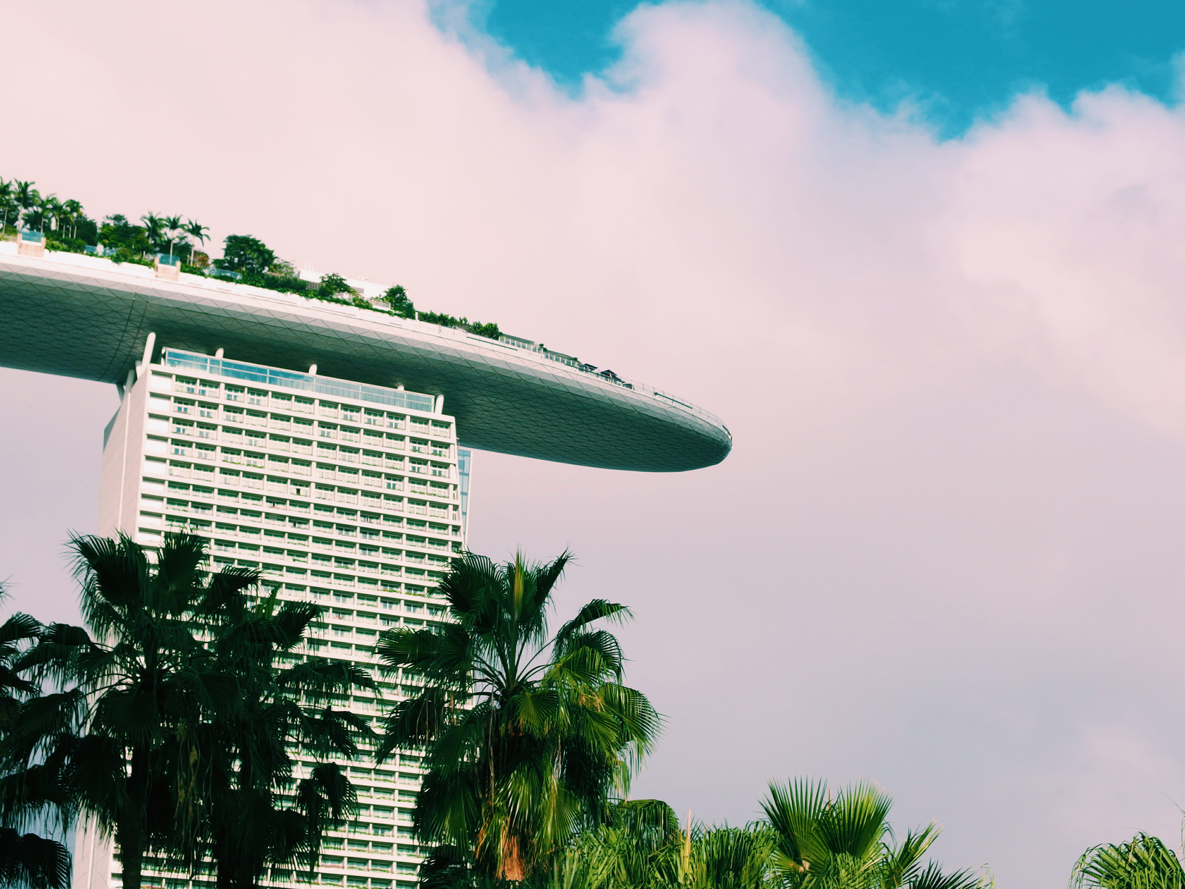 urban, built structure, cloud - sky, palm, high section, trees, palm tree, palmtree, marinabay, building exterior, sky, tree, palms, marina bay sands, tropical climate, HD Wallpaper