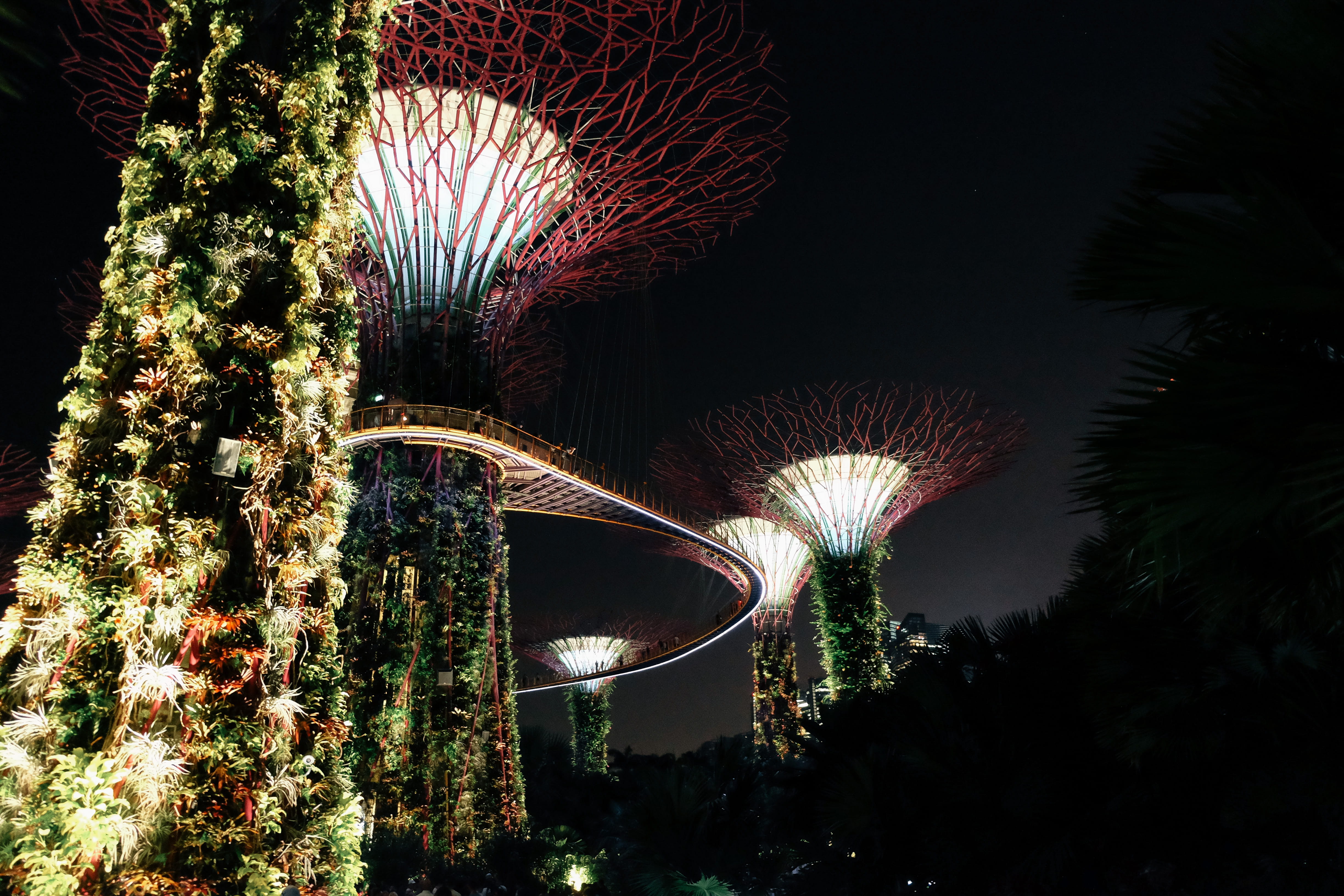 city, 4K, architecture, night sky, growth, building exterior, tree, big tree, connection, landmark, bridge - man made structure, motion, plant, night light, HD Wallpaper