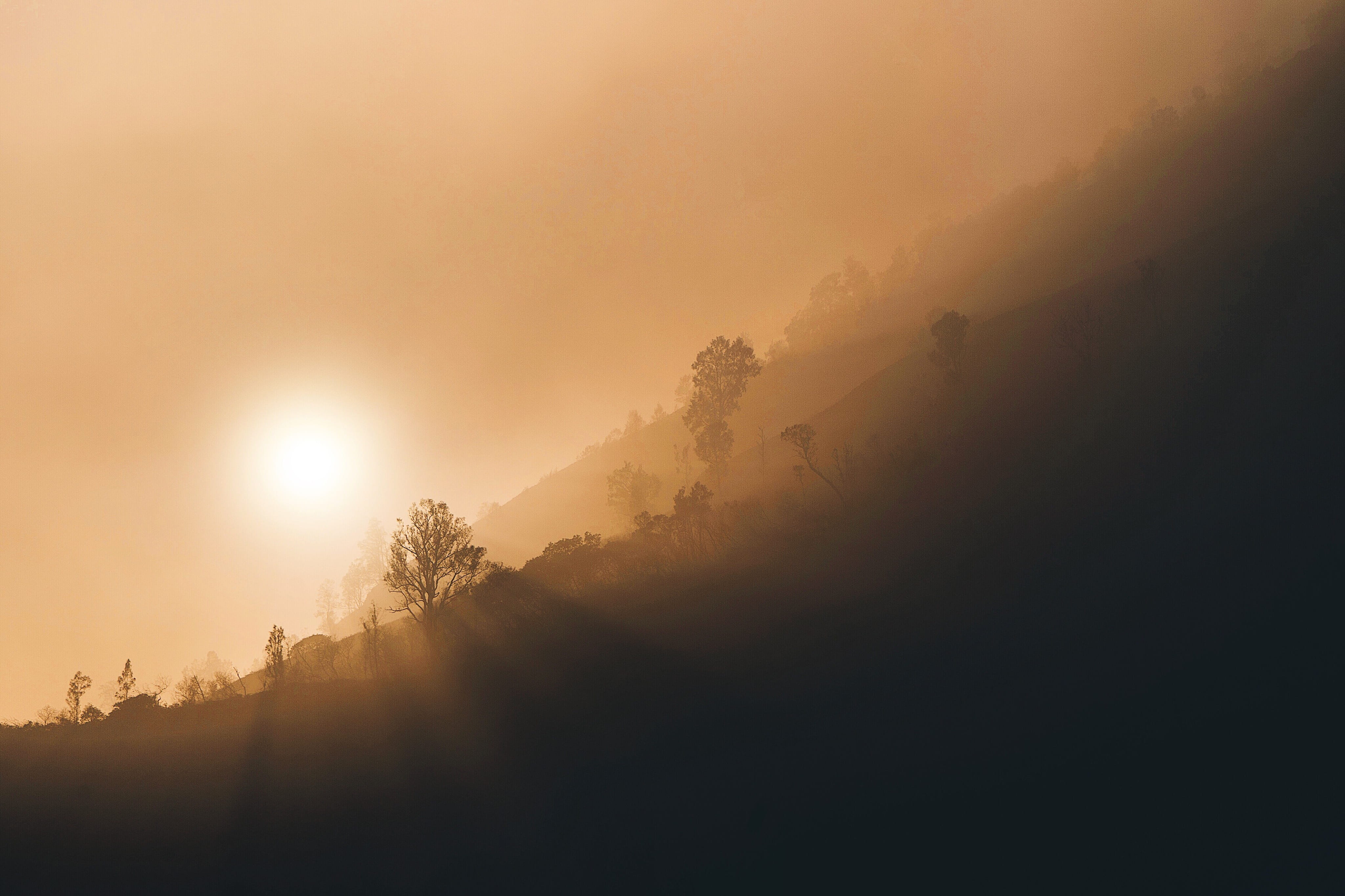 environment, silhouette, outdoors, orange, hour, golden, tranquil scene, sunlight, haze, foggy, singapore, landscape, idyllic, sunset, dusk, no people, HD Wallpaper