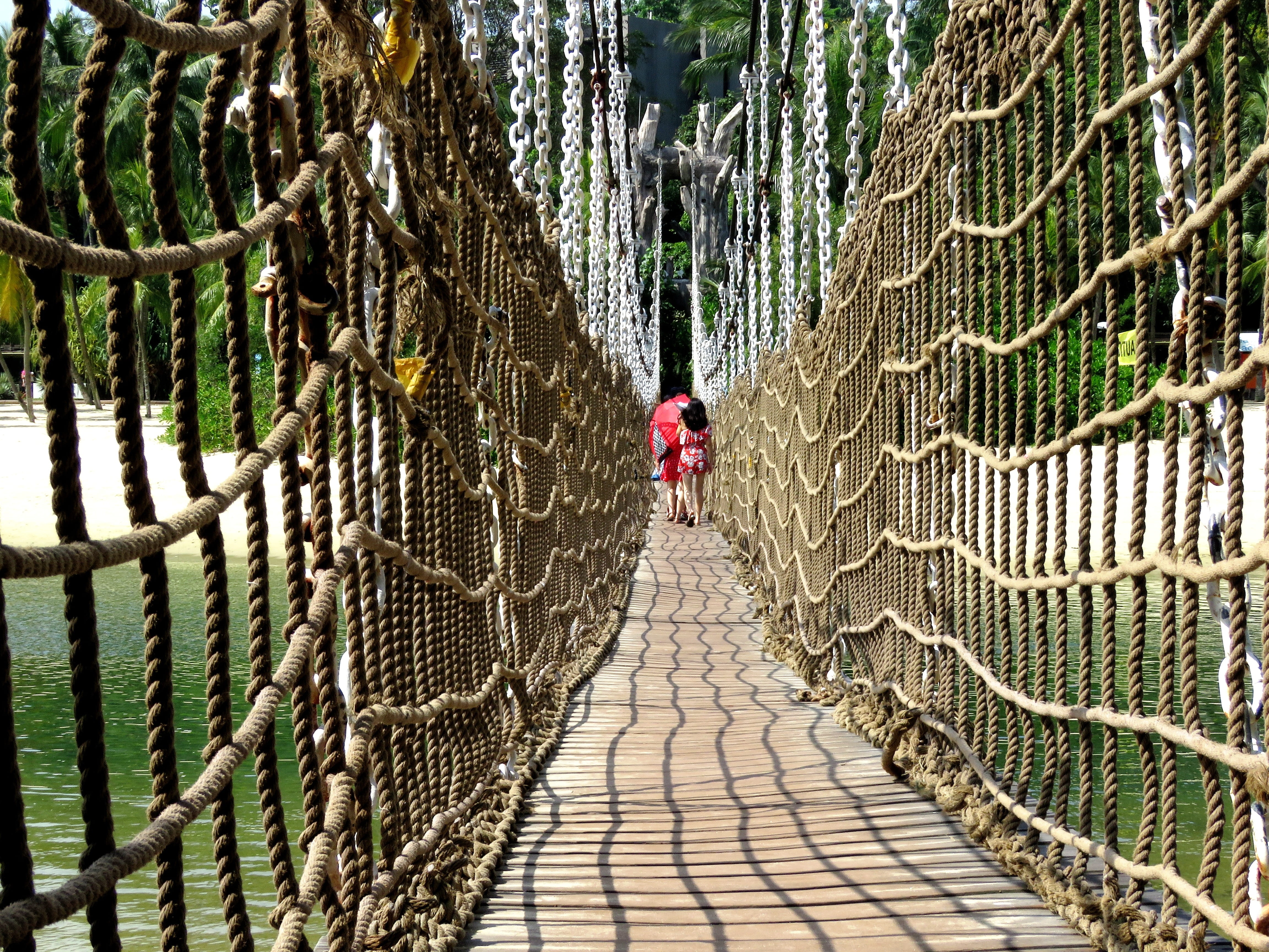 coconut, leisure activity, urban, ocean, clear, brige, scenery, rope bridge, walking, sea, water, nature, person, resort, full length, coast, 4K, beach, HD Wallpaper