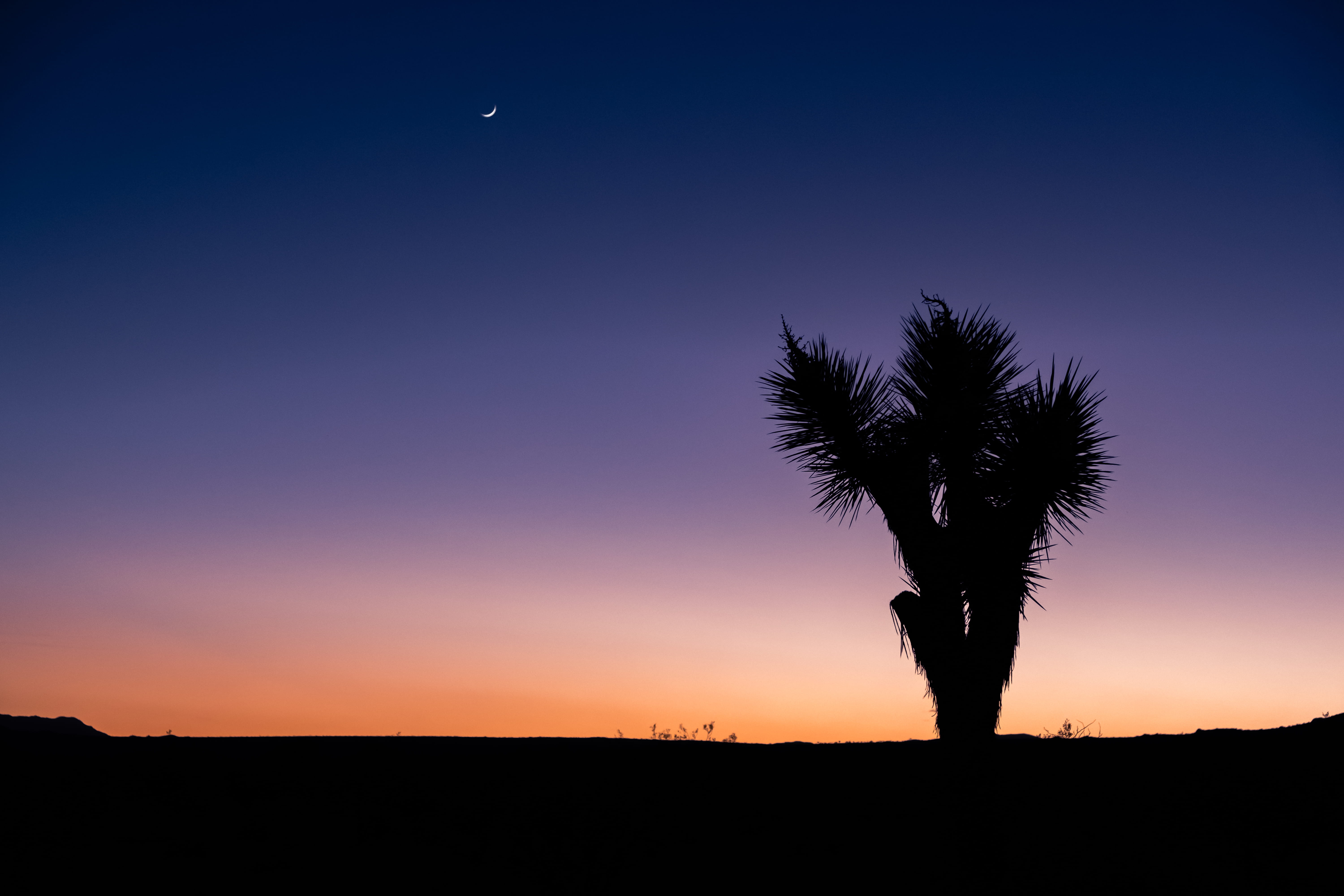 horizon over land, tranquil scene, beauty in nature, nature, 5K, fujifilm, copy space, land, tranquility, tree, night, moon, outdoors, xt2, plant, sunset, HD Wallpaper