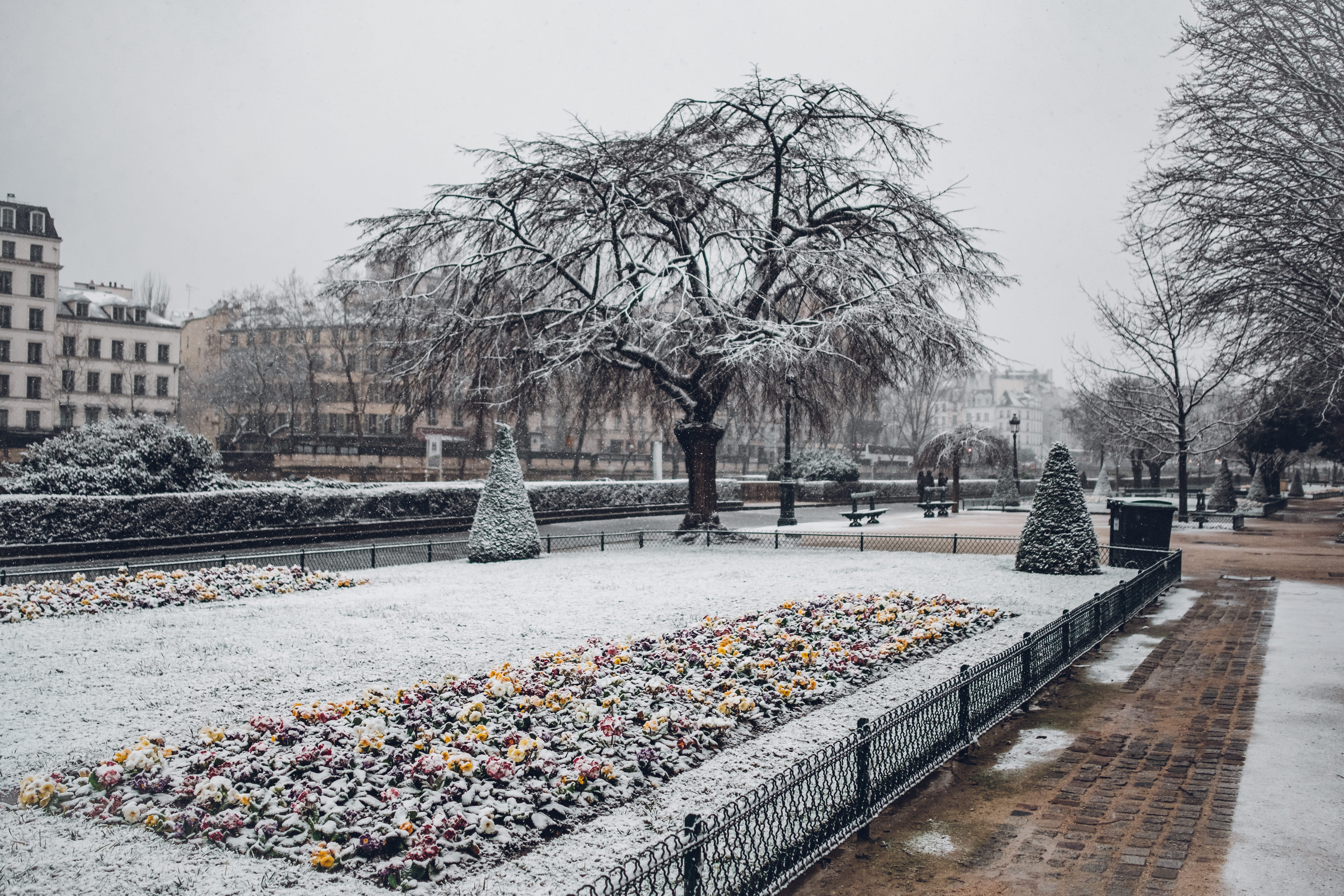 5K, xt2, clear sky, built structure, town, seine, france, quietness, bare tree, paris, winter, snow, city, notre dame de paris, nature, plant, tranquility, HD Wallpaper