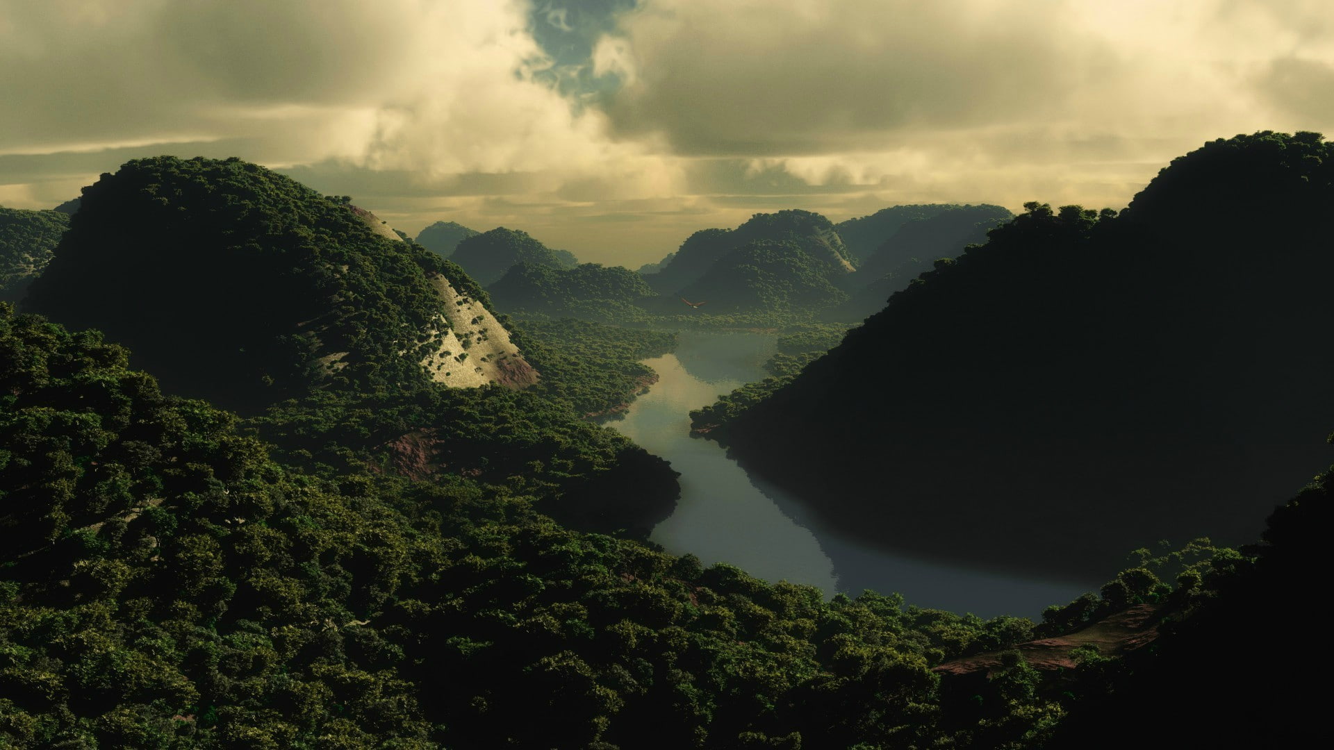 jungle, 1080P, plants, nature, HD Wallpaper