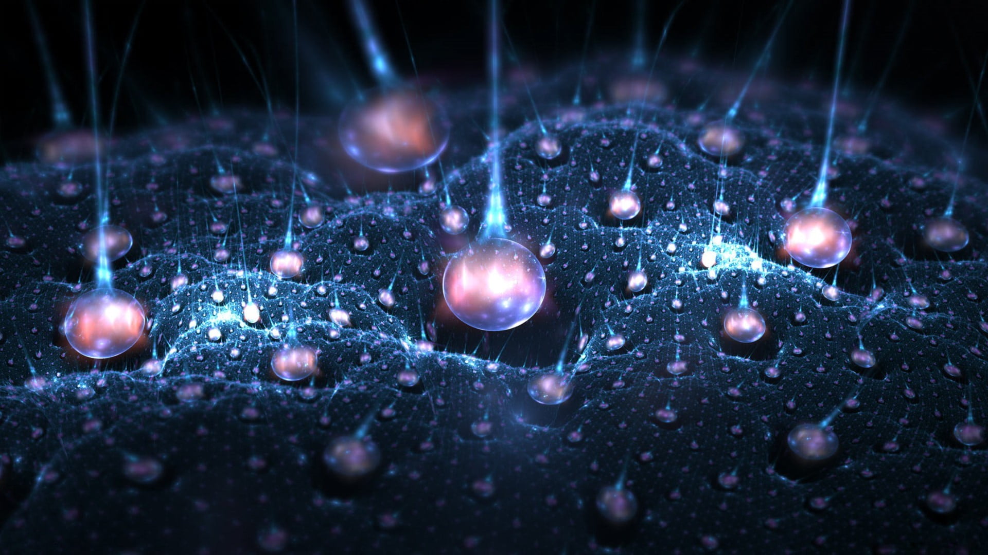 large group of objects, animal wildlife, marine, selective focus, no people, pattern, digital art, studio shot, fractal, animal, lights, close-up, water, HD Wallpaper