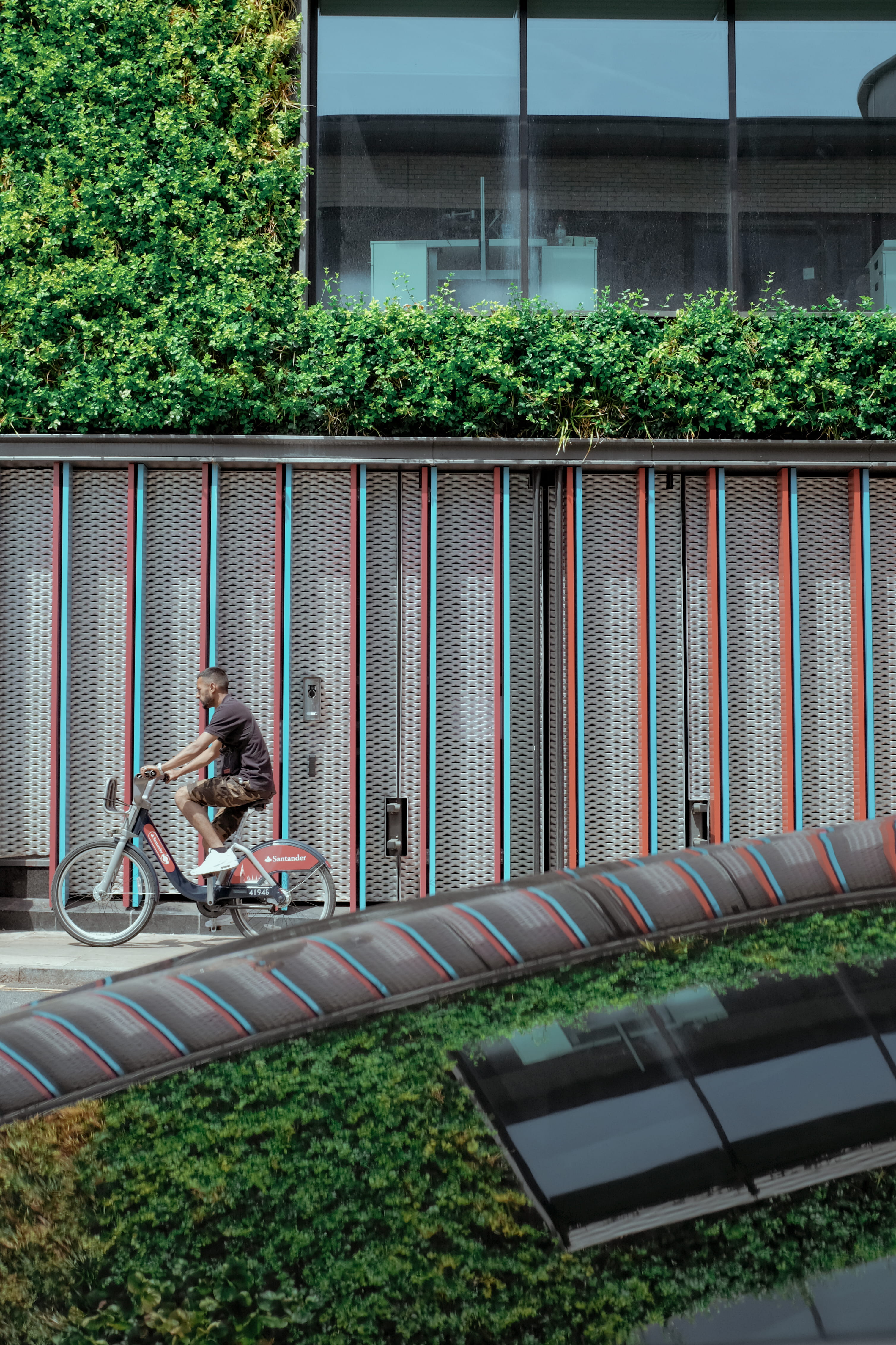 tree, sports, building exterior, camden town, vehicle, city, built structure, united kingdom, cyclist, outdoors, no people, green color, architecture, bike, Phone HD Wallpaper