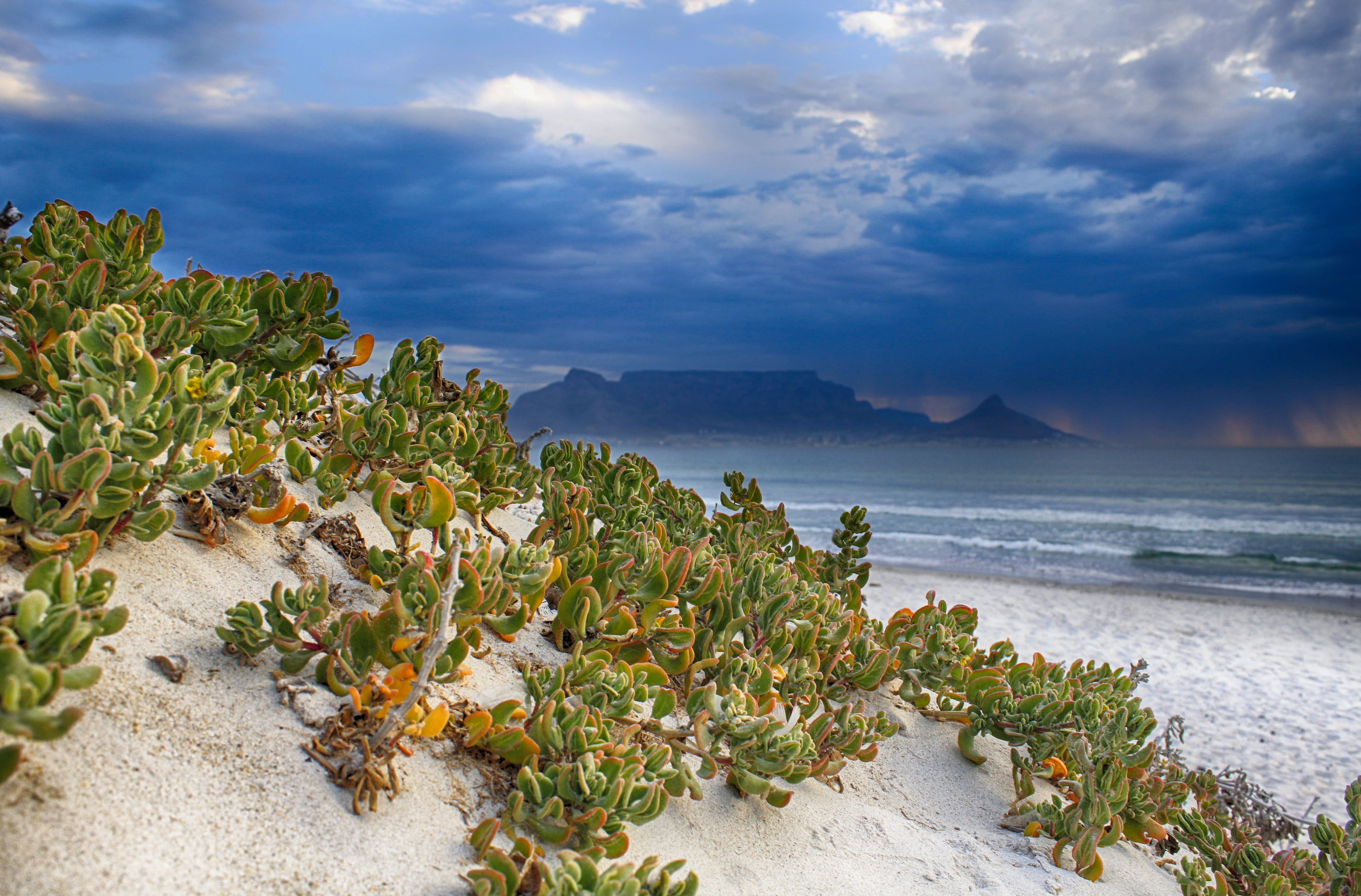 storm, blue, travel, tablemountain, no people, travel destinations, sky, coast, sunset, beach, waves, dolphin beach, capetown, tree, ocean, cape town, tranquil scene, HD Wallpaper