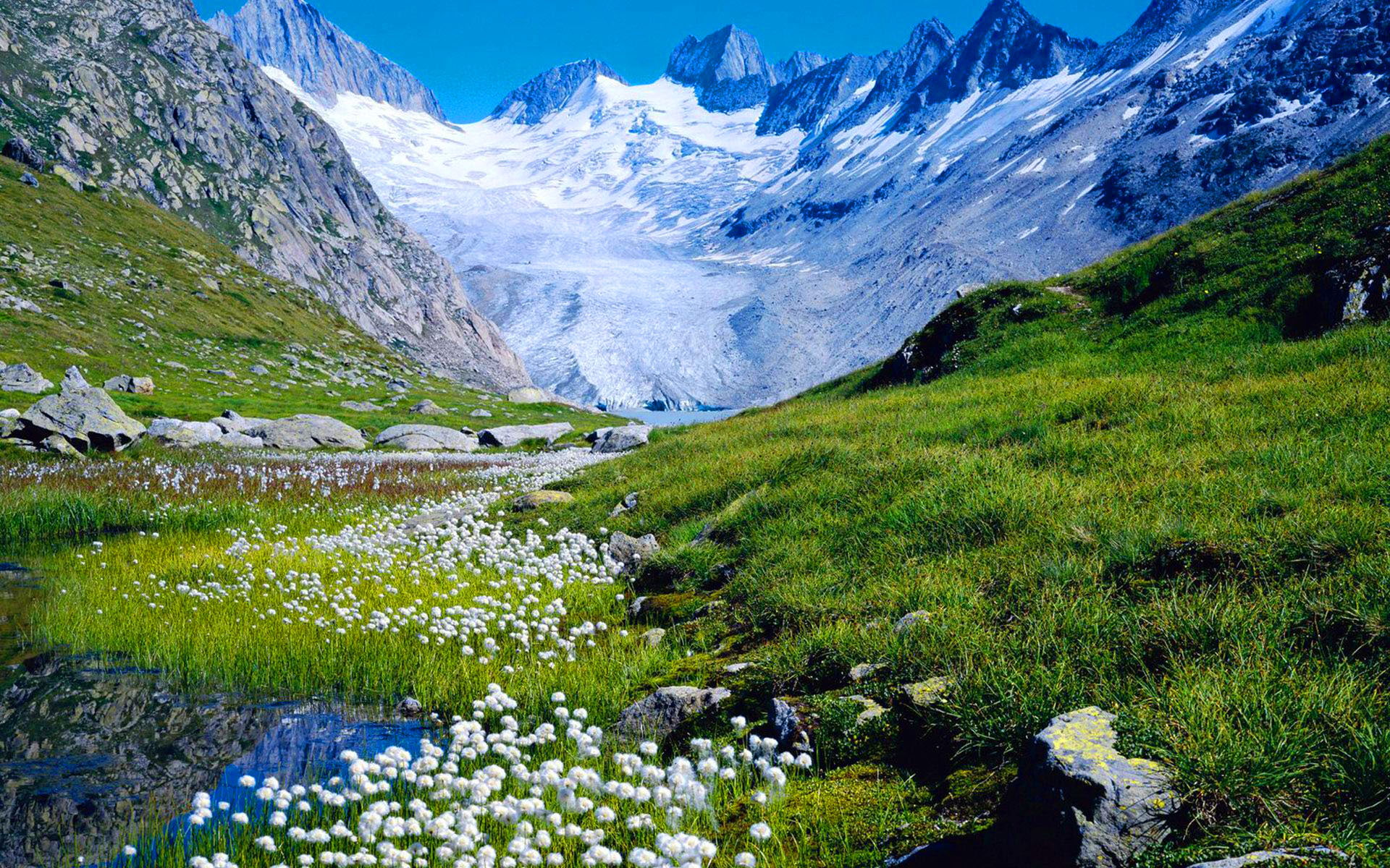 hd, green, 1080P, valley, river, landscape, grass, rocky, blue, widescreen, switzerland, sky, snow, peaks, white, mountain, HD Wallpaper