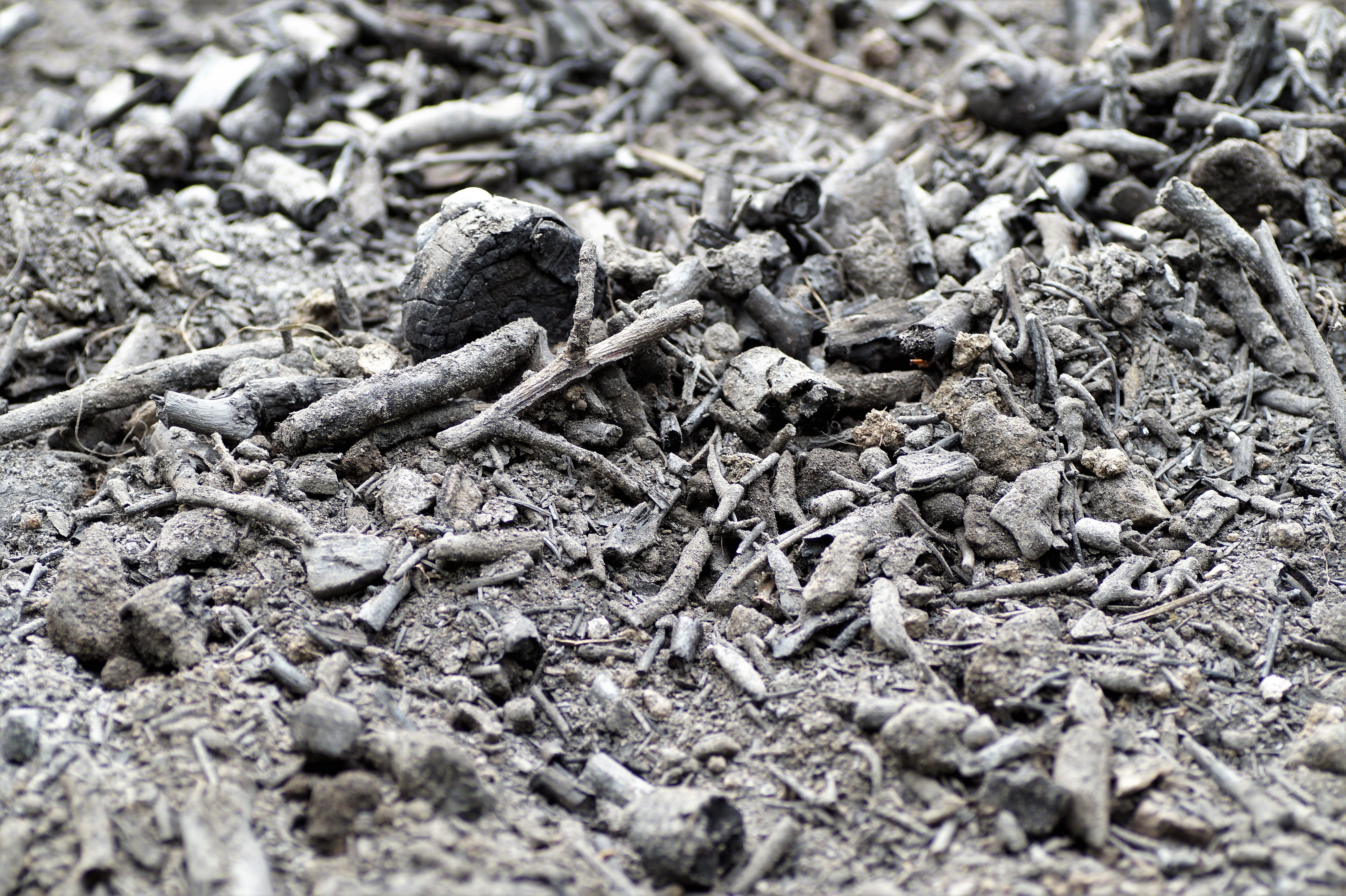 land, field, 5K, tinder, full frame, scorch, still life, backgrounds, high angle view, ash, the remnants of the, pattern, no people, ground, outdoors, HD Wallpaper