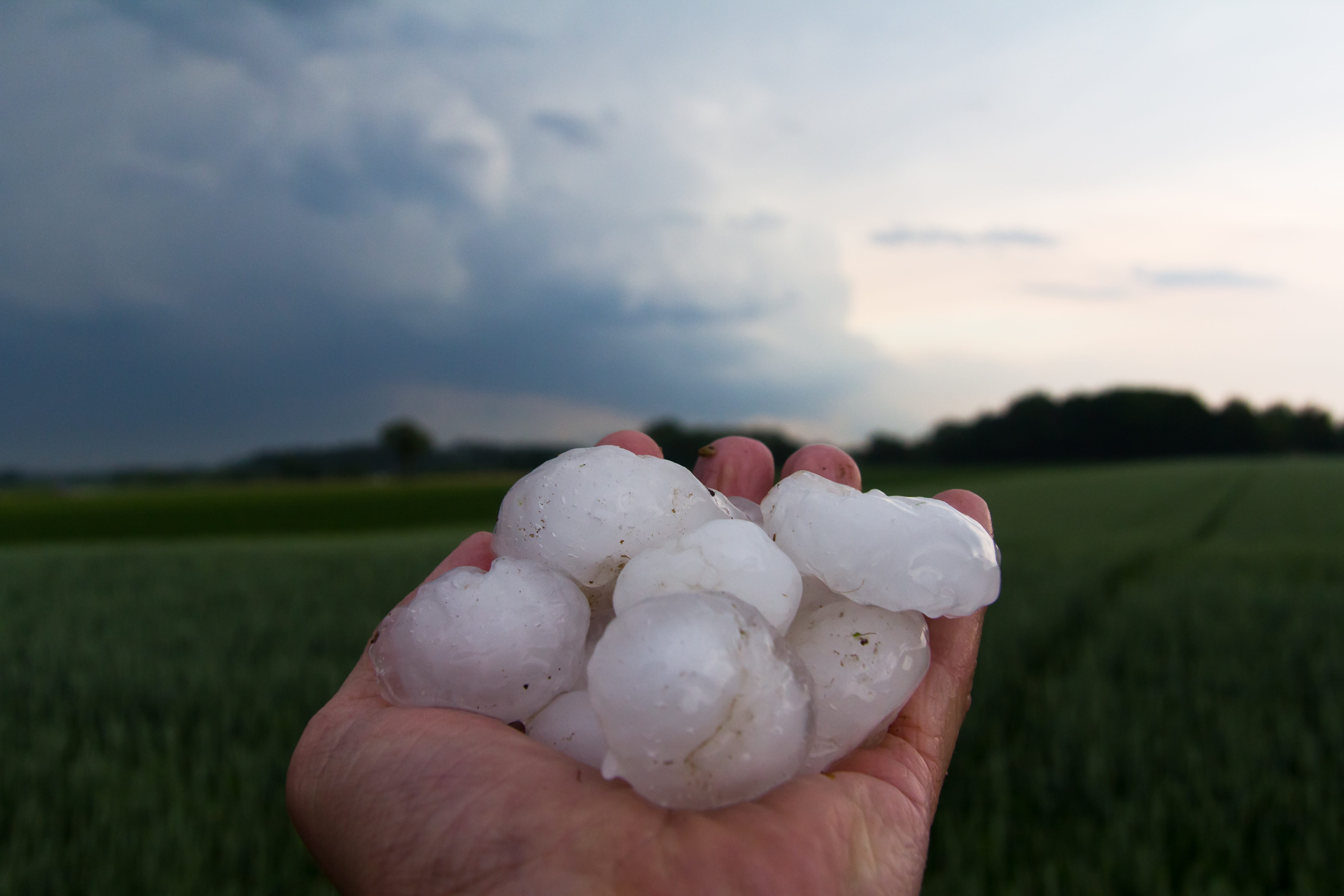 one person, outdoors, hail, hand, focus on foreground, finger, 5K, food and drink, human hand, holding, background, field, sky, meteorology, precipitate, HD Wallpaper