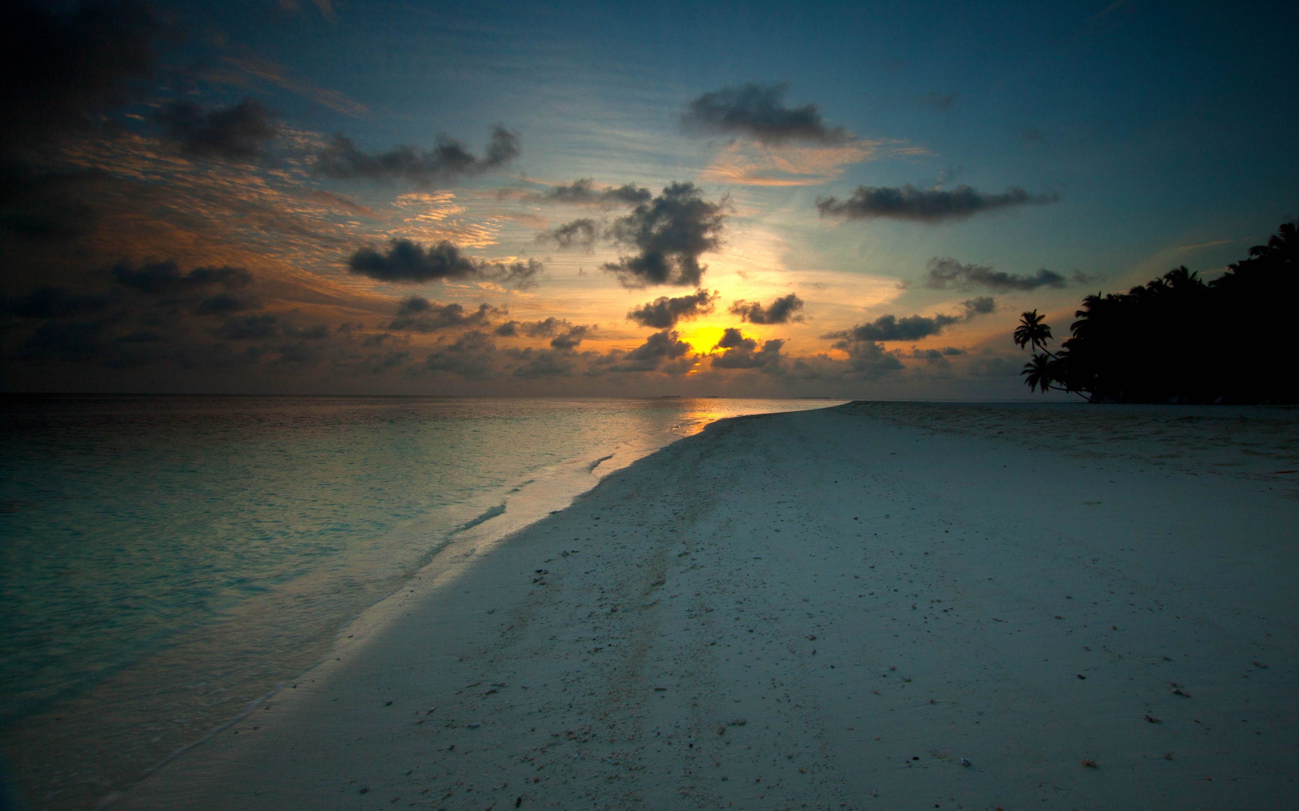 tropical Climate, decline, dusk, dawn, night, blue, beauty In Nature, coastline, sand, outdoors, water, tree, twilight, morning, summer, nature, scenics, HD Wallpaper