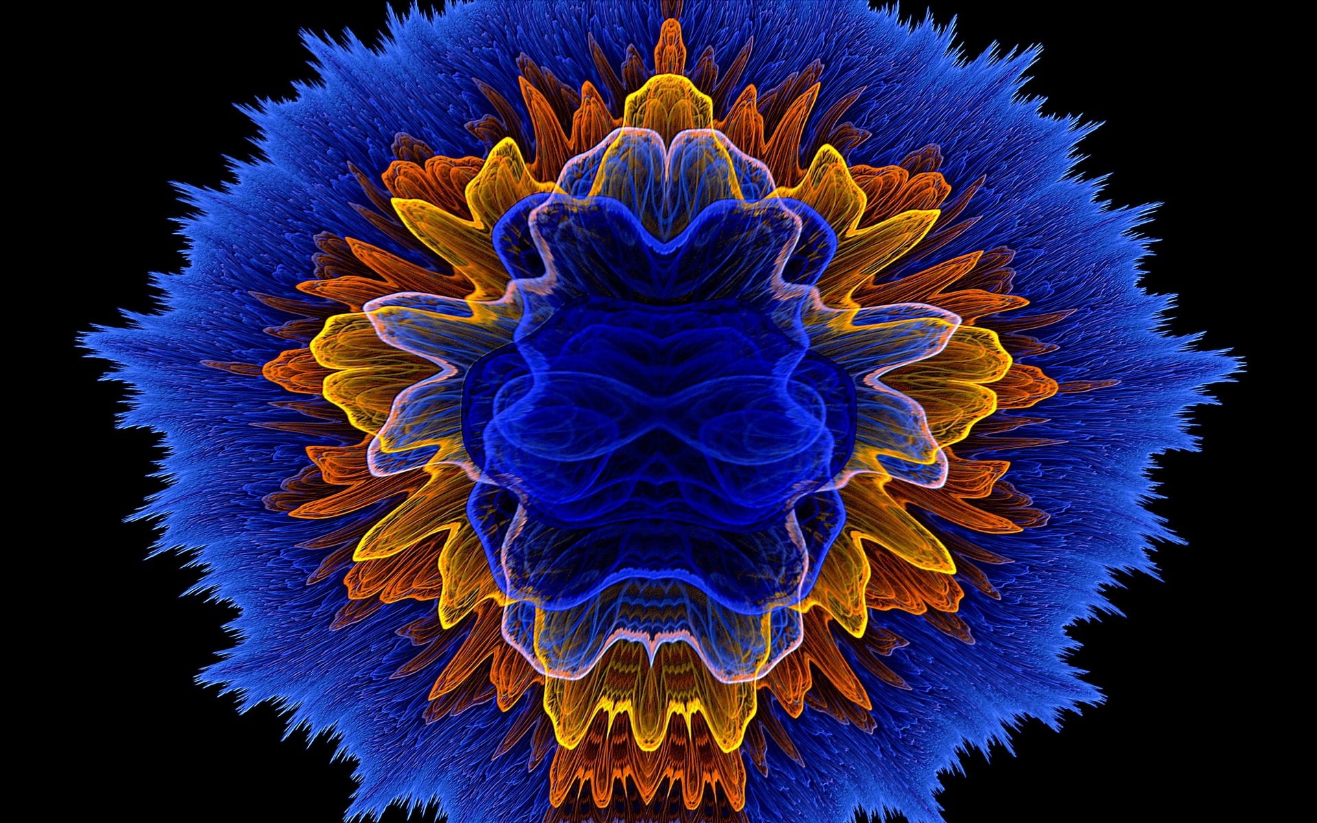 nature, indoors, 1080P, flower head, studio shot, artwork, multi Colored, one animal, orange, lights, shape, light, animal, wavelength, backgrounds, flower, HD Wallpaper