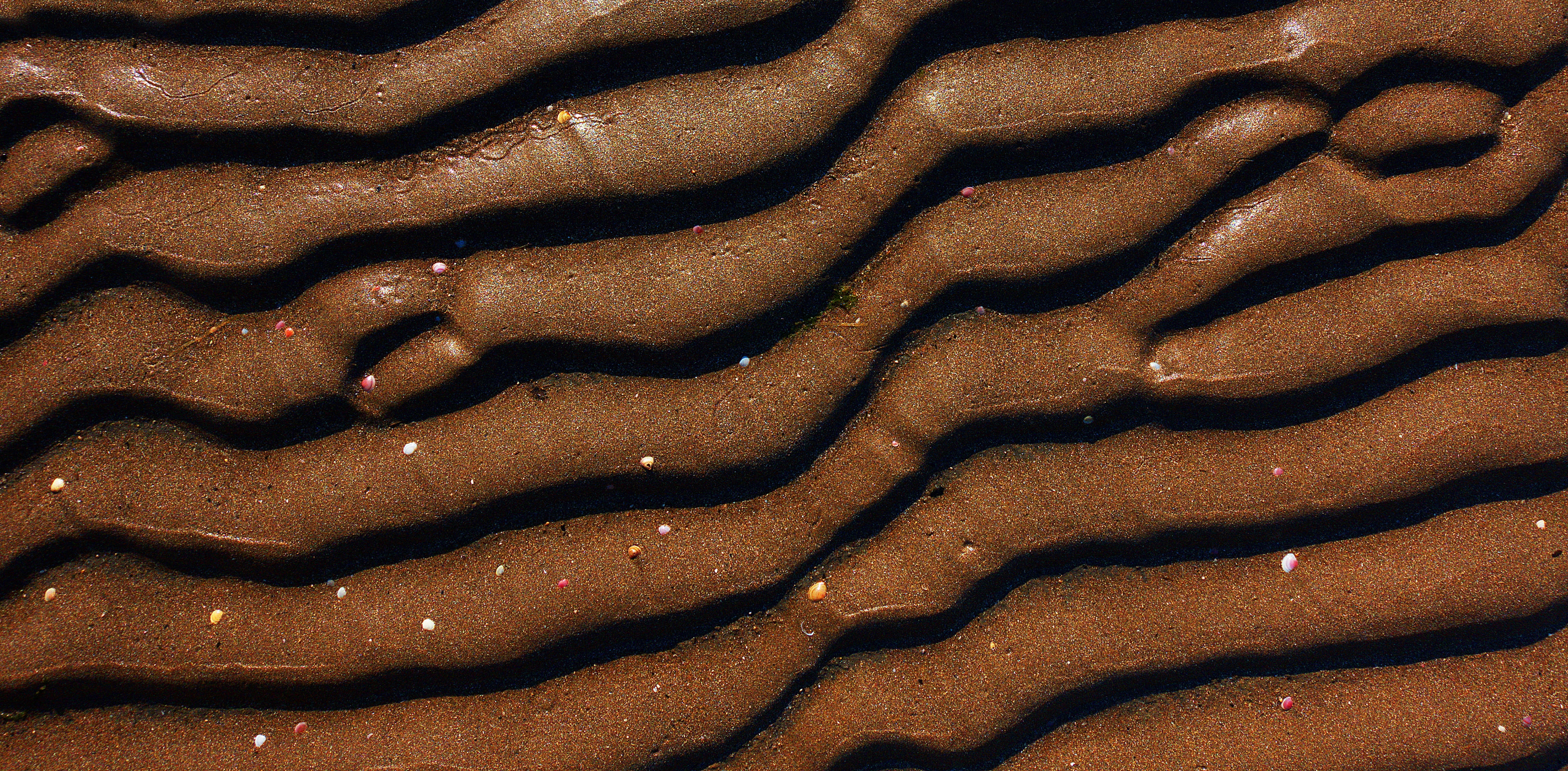food, backgrounds, close-up, sand, indulgence, sweet, undulation, desert, baked, brown, wavelength, mud, dirt, still life, dessert, texture, indoors, freshness, HD Wallpaper