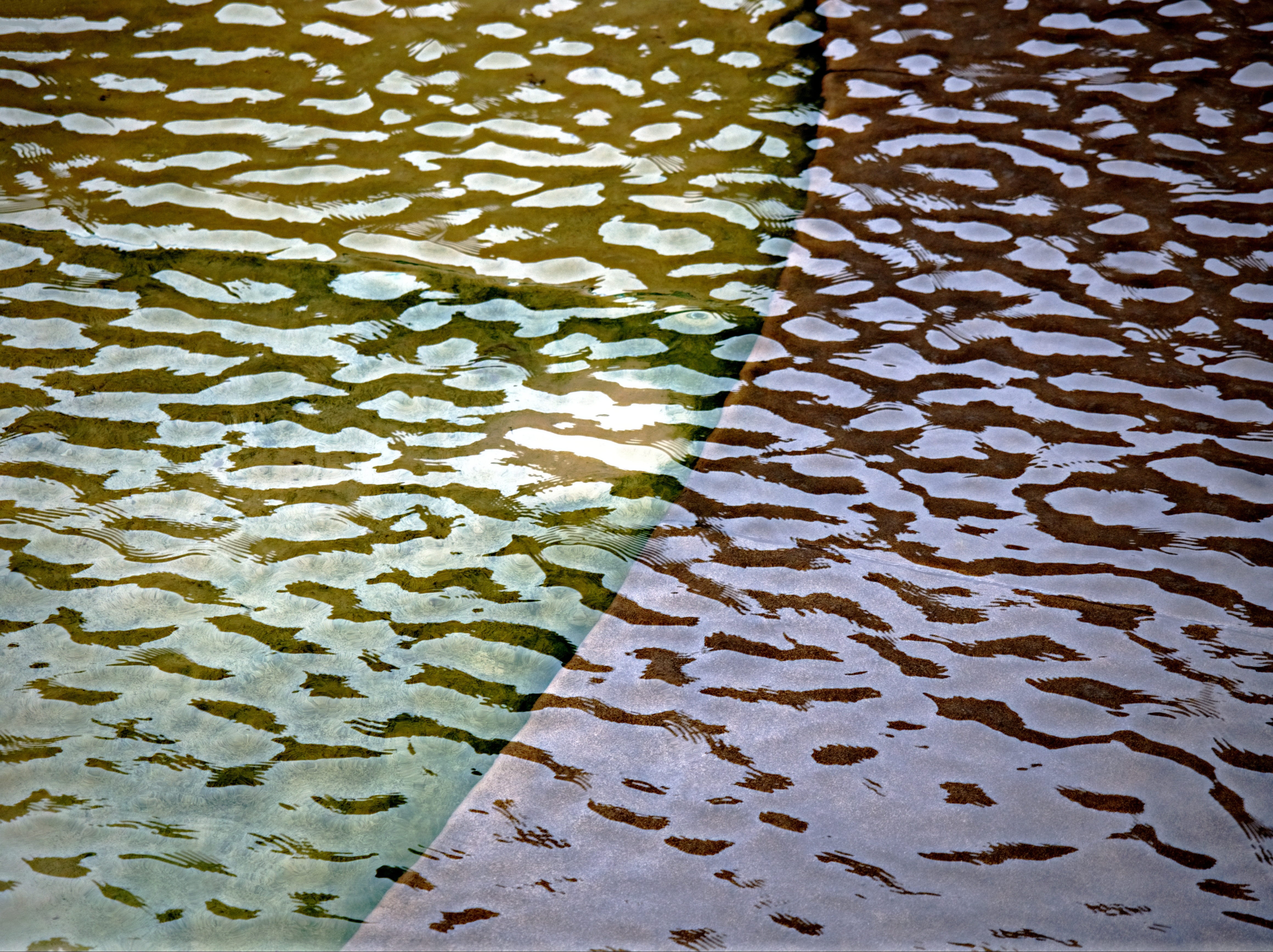 boundary, division, Water, leaves, beauty in nature, natural pattern, floating on water, waterfront, contrast, no people, partition, tiled floor, green color, HD Wallpaper