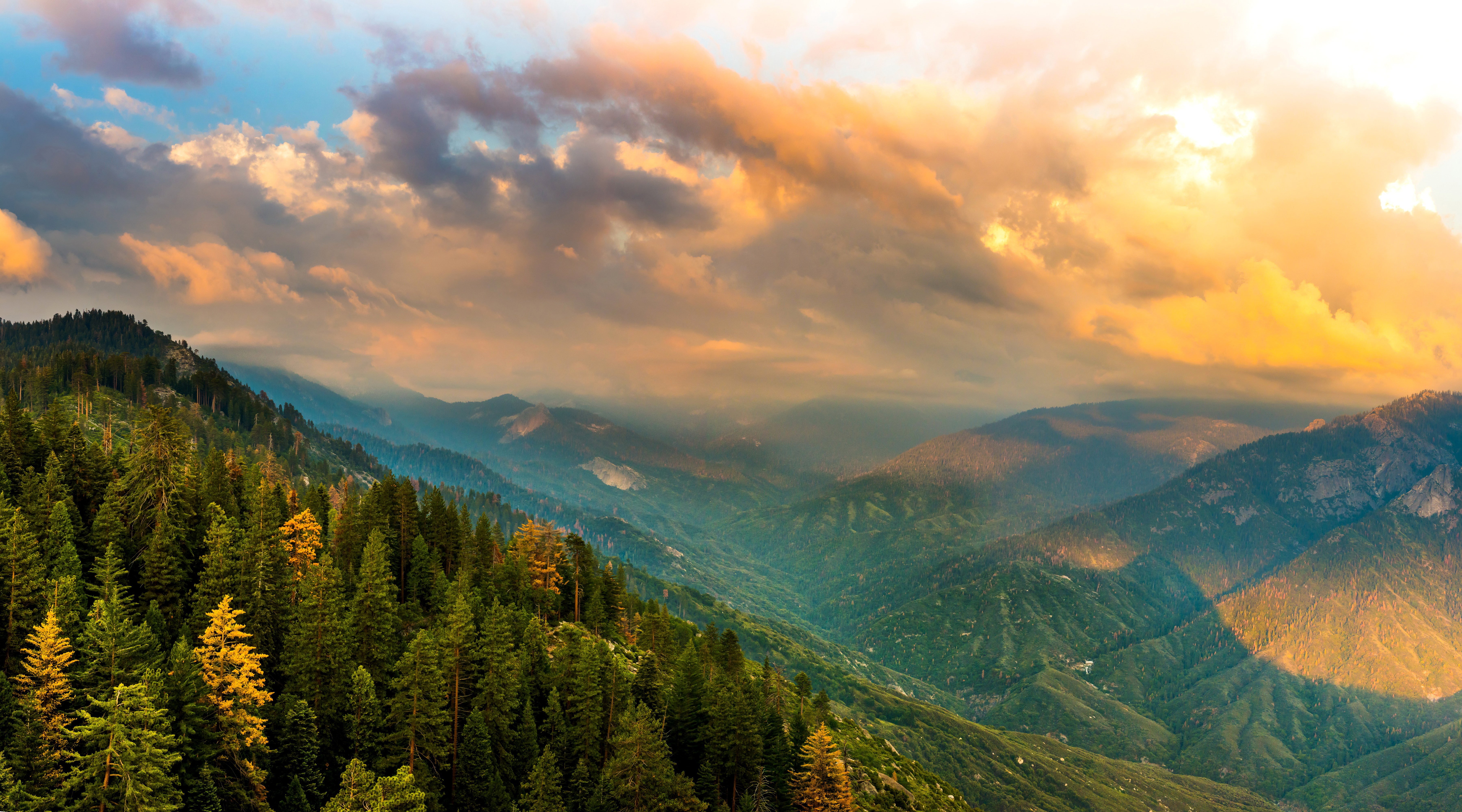 scenery, park, Canyon, 5K, forests, usa, clouds, Mountains, kings, national, nature, parks, california, HD Wallpaper