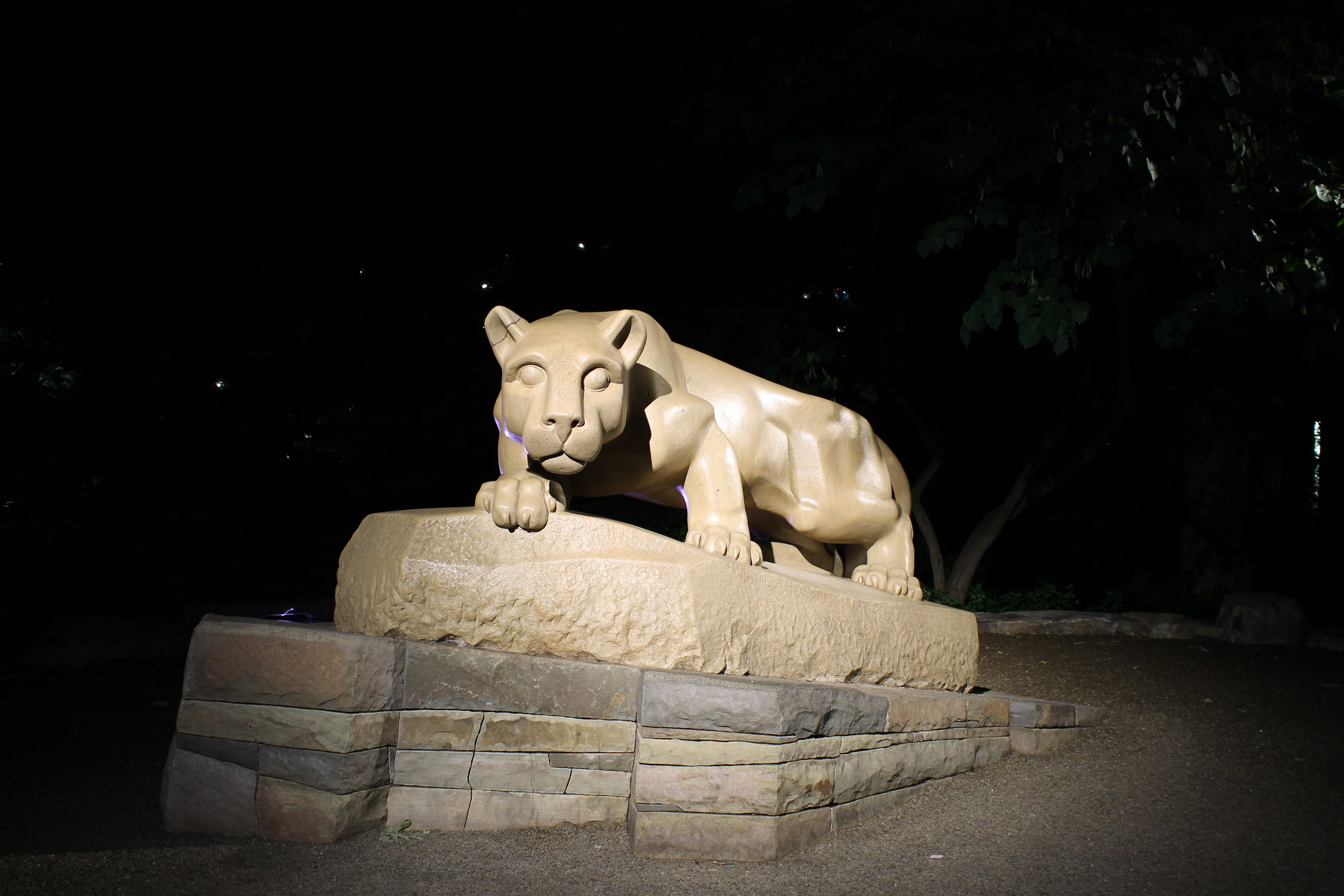 male likeness, lion - feline, architecture, sculpture, plant, nature, art and craft, indoors, 4K, tree, statue, craft, lion, night, human representation, HD Wallpaper