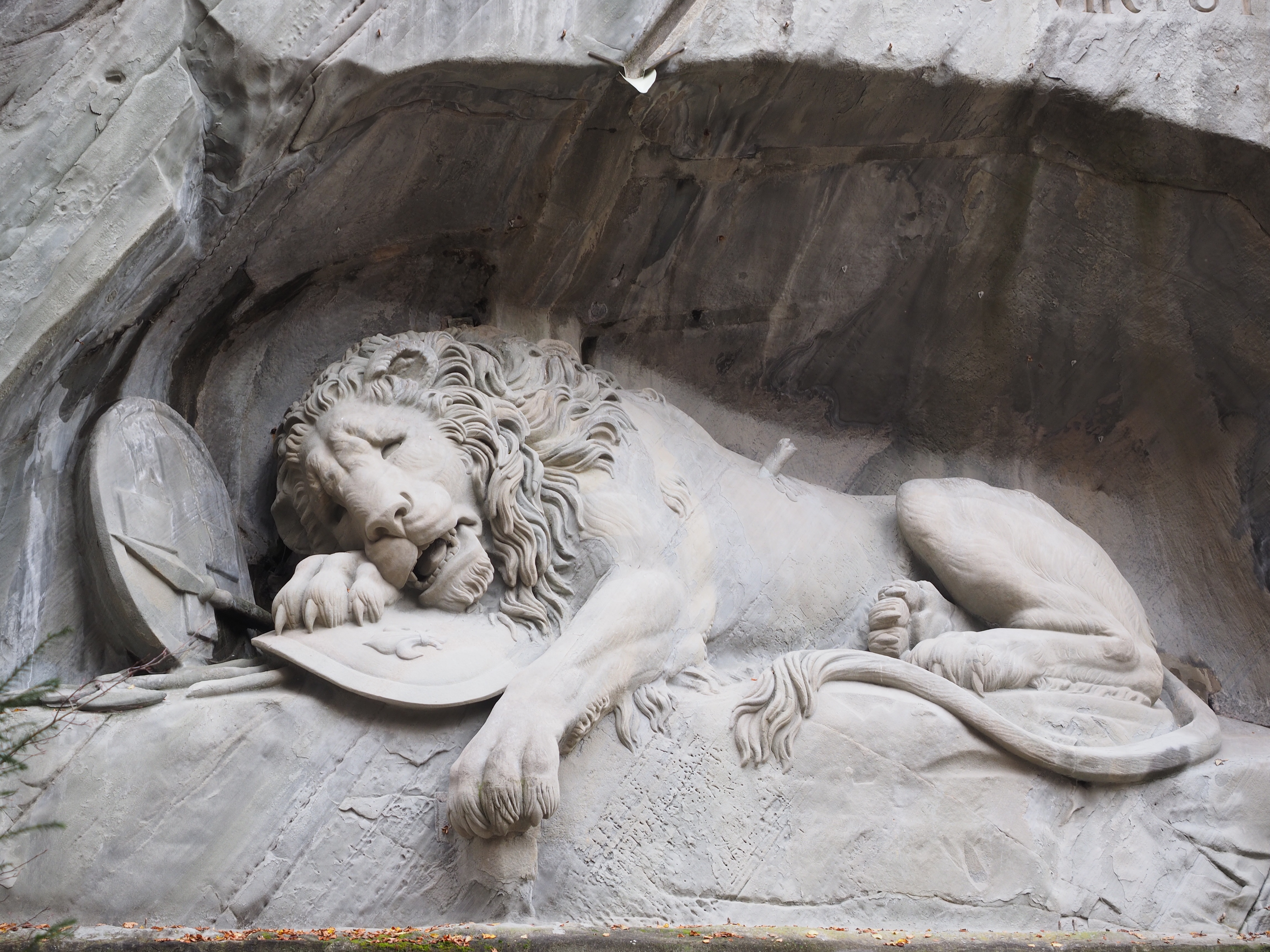 architecture, relief, stone, bertel thorvaldsen, representation, mammal, the past, lucerne, thorvaldsen, swiss conservation, outdoors, animal wildlife, HD Wallpaper