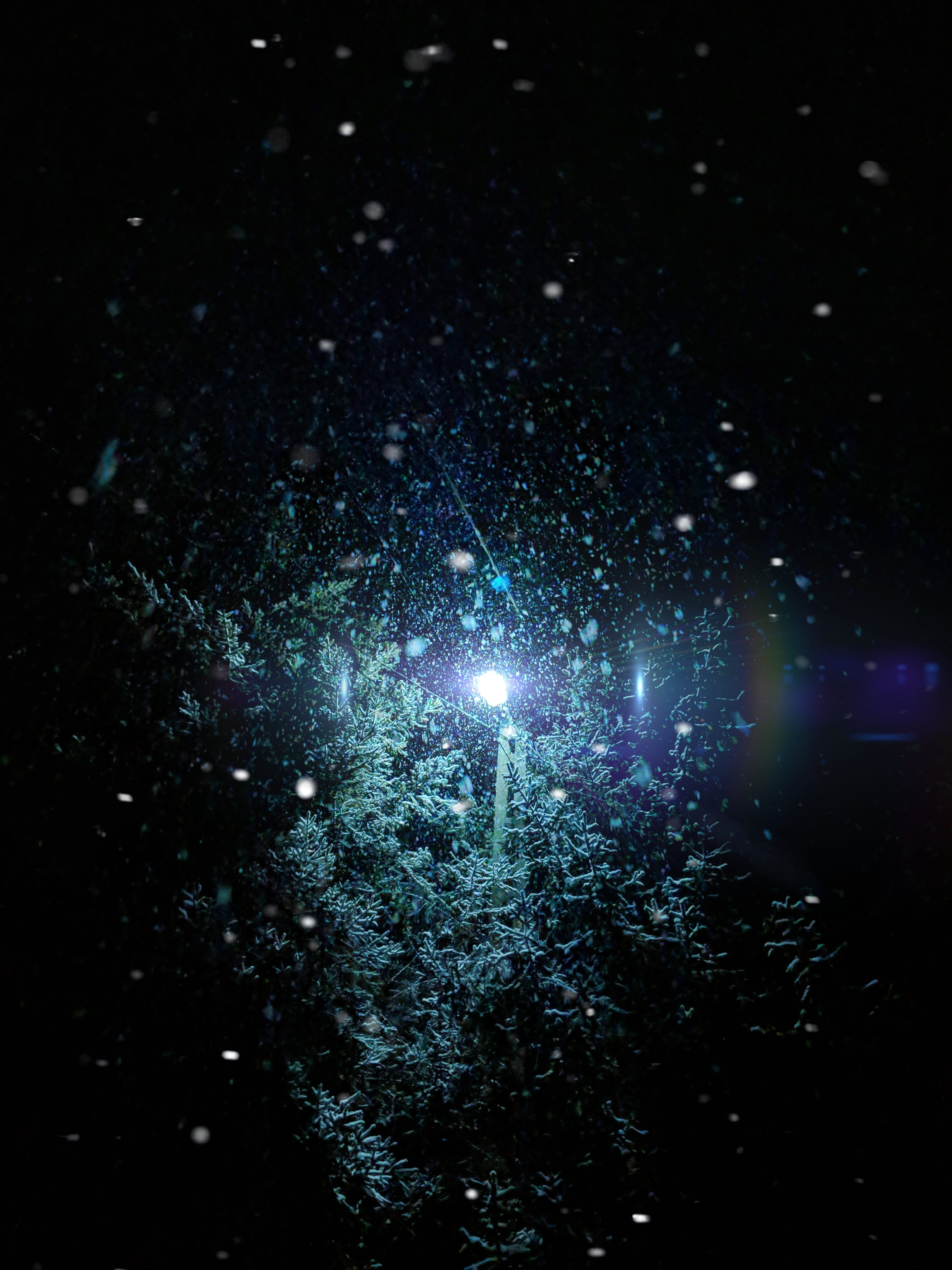fractal, illuminated, comet, ornament, astronomy, milky way, constellation, pattern, sky, night, beauty in nature, starry sky, exploding, dark, snow, glitter, Phone HD Wallpaper