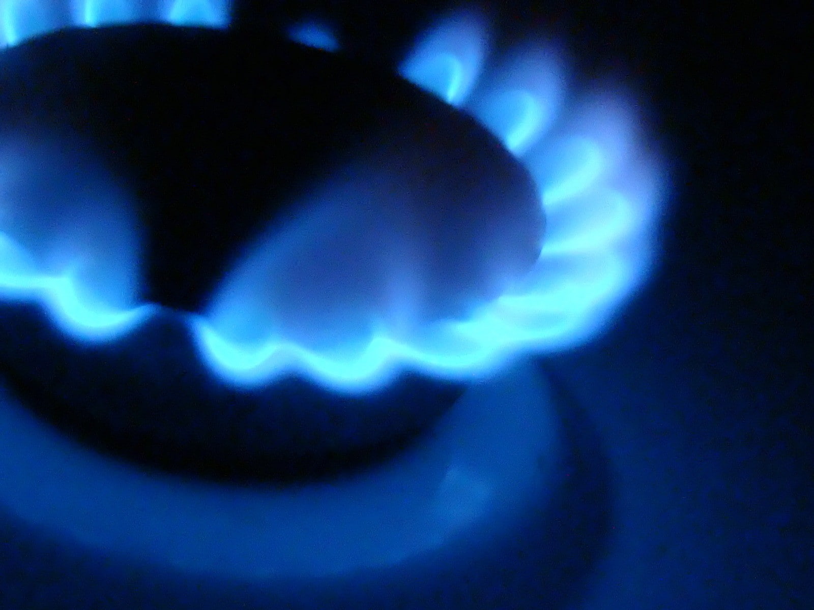 happiness, human teeth, dark, heat - temperature, fire, human body part, glowing, nature, kitchen, indoors, close-up, gas, blue, body part, plate, flame, HD Wallpaper