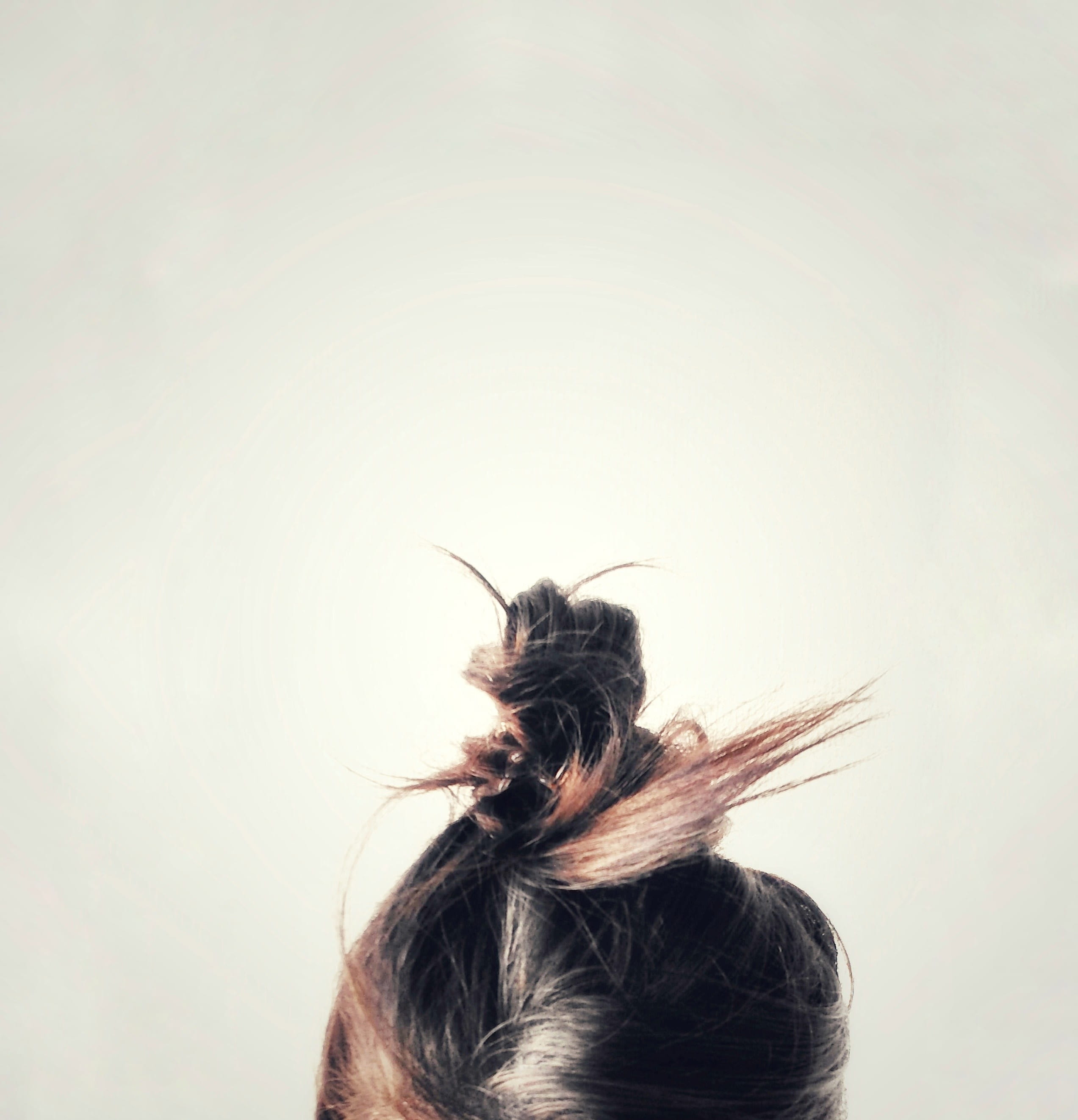 leisure activity, copy space, studio shot, 2K, indoors, lille, rear view, one person, women, adult, one animal, messy hair, white background, long hair, Phone HD Wallpaper