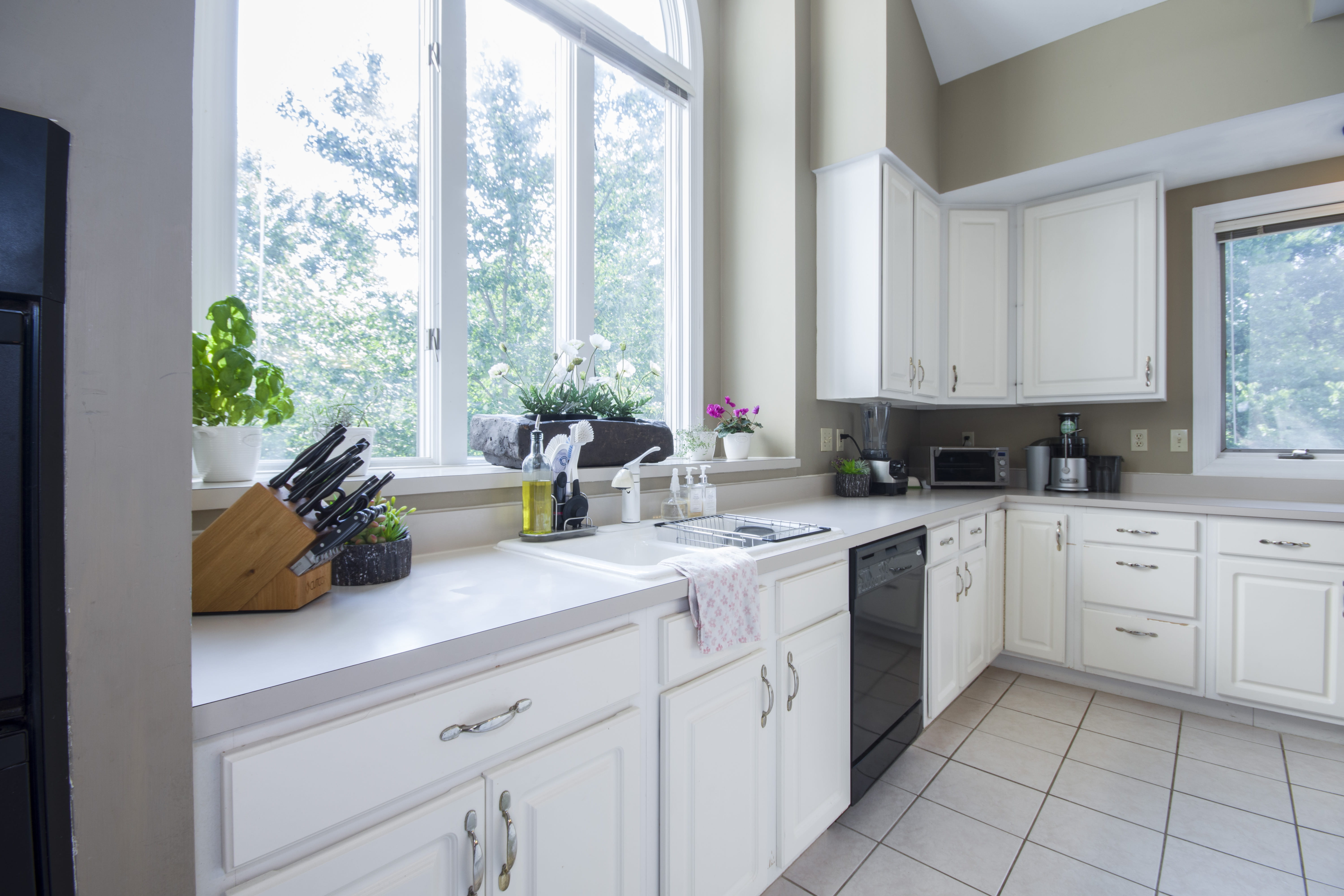 white, windows, wooden, daylight, potted plant, home appliance, window, plant, home, day, kitchen counter, spacious, household equipment, indoors, contemporary, HD Wallpaper