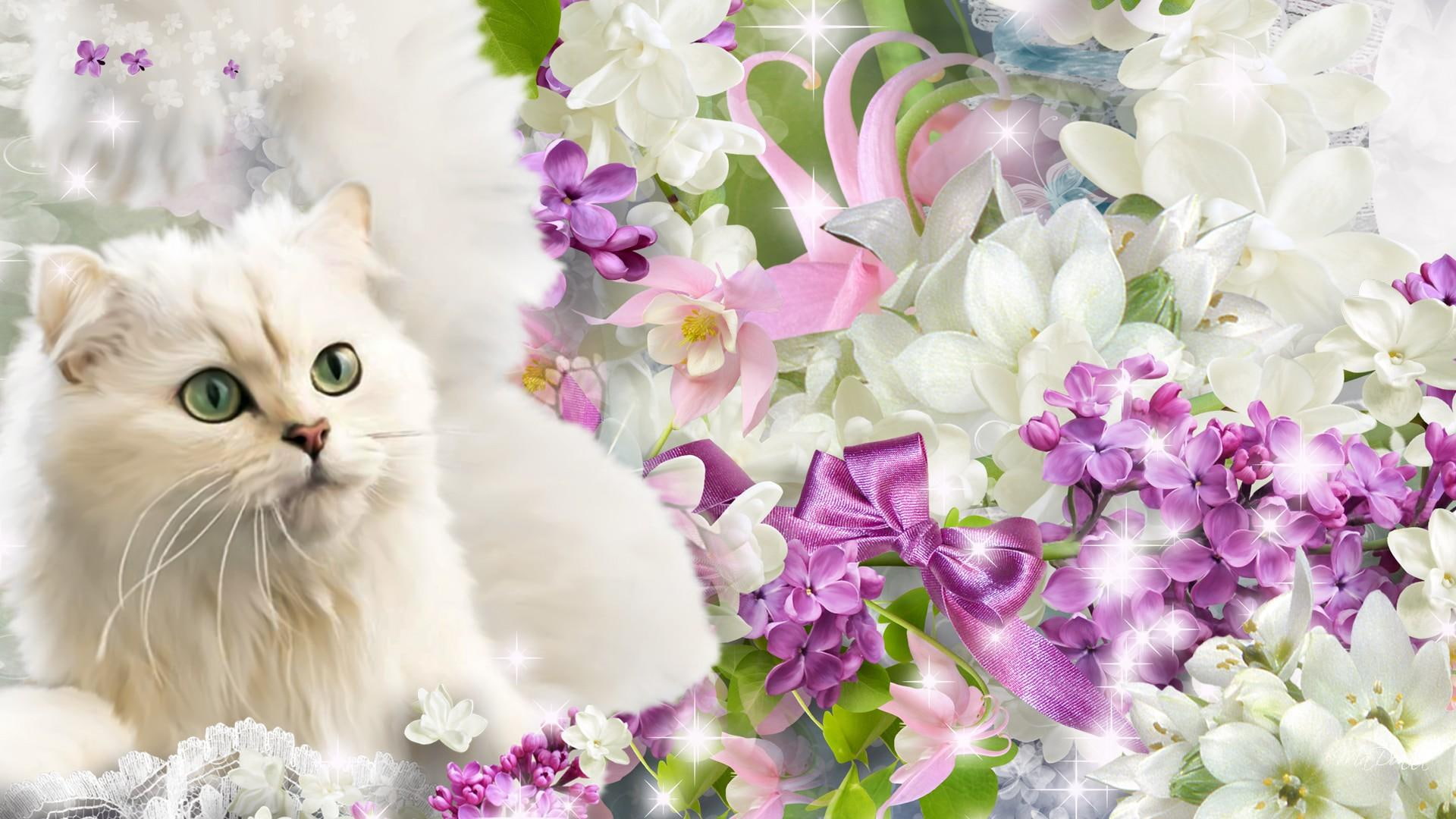 pastel, flowers, green eyes, soft, eyed, feminine, 1080P, green, fluffy, loveable, kitten, fleu, sweet, ribbon, cat, HD Wallpaper