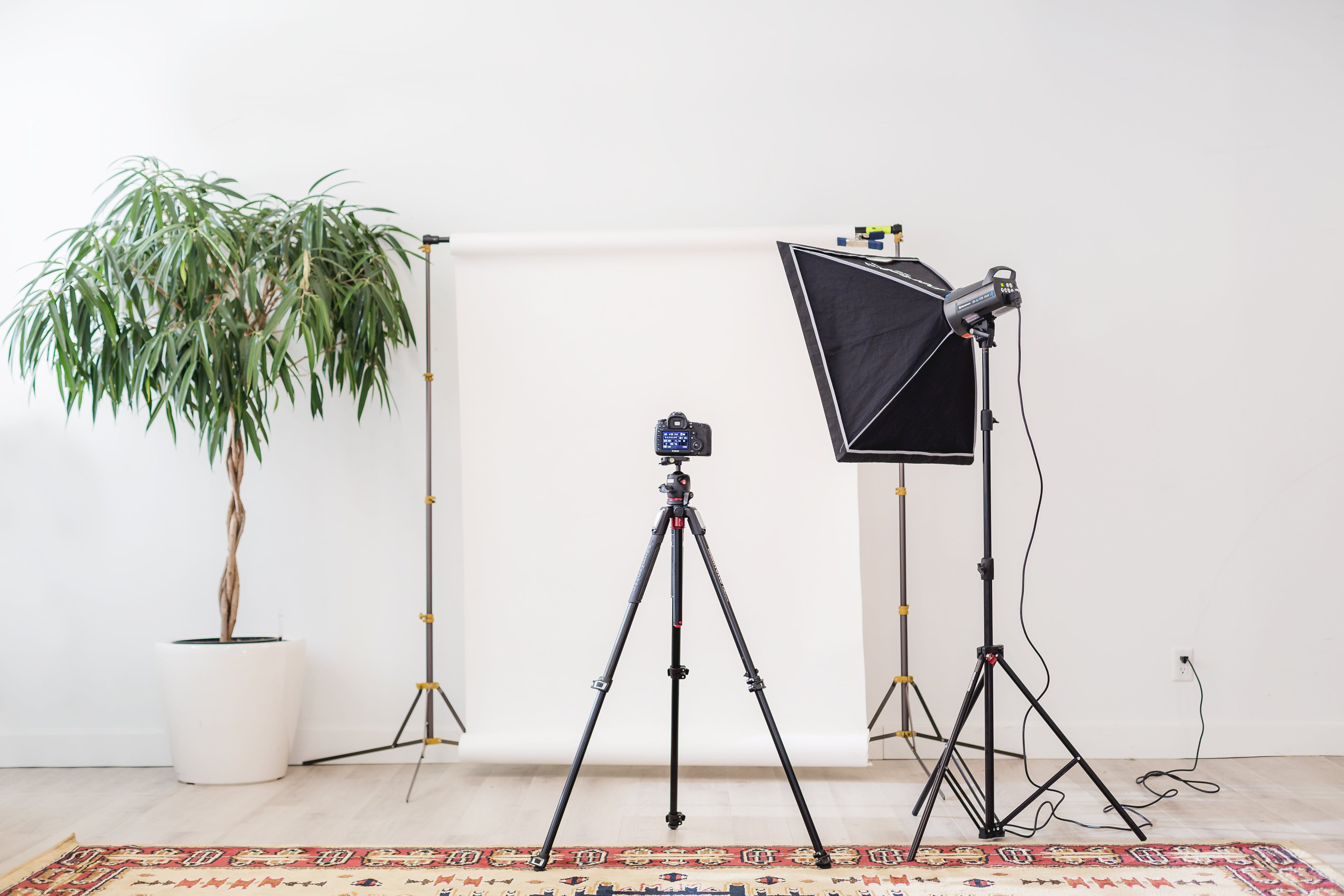 no people, lighting equipment, photo shoot, studio shot, nature, communication, camera - photographic equipment, Camera, creativity, white background, photography themes, HD Wallpaper