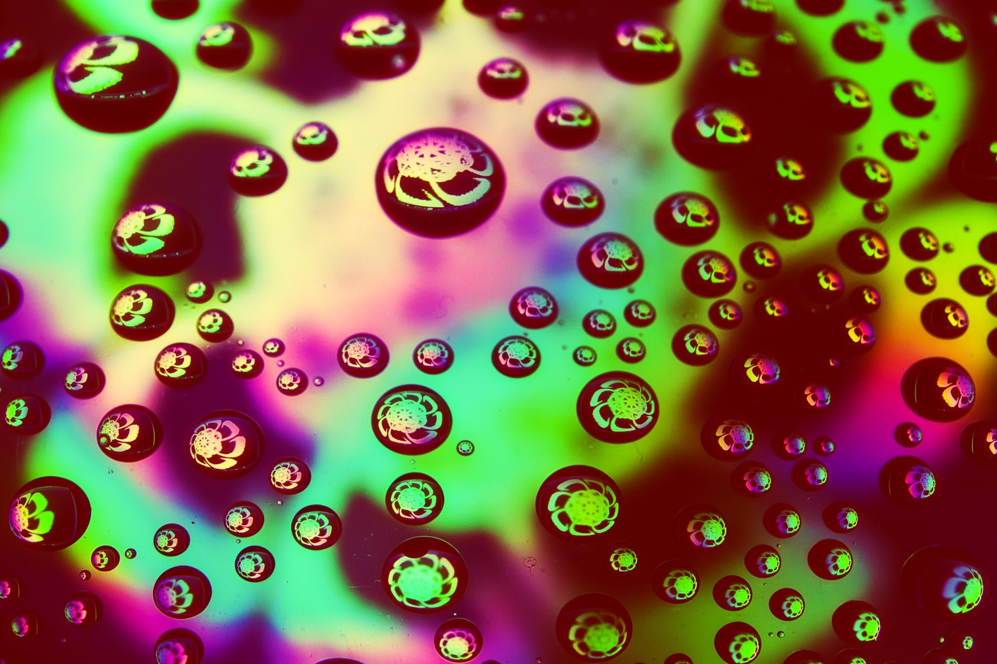 drop, shot, coloured, nature, abstract art, multi, colored, макро, art, close-up, bubbles, blebs, colour, abstract, texture, studio, macro, Water, science, HD Wallpaper