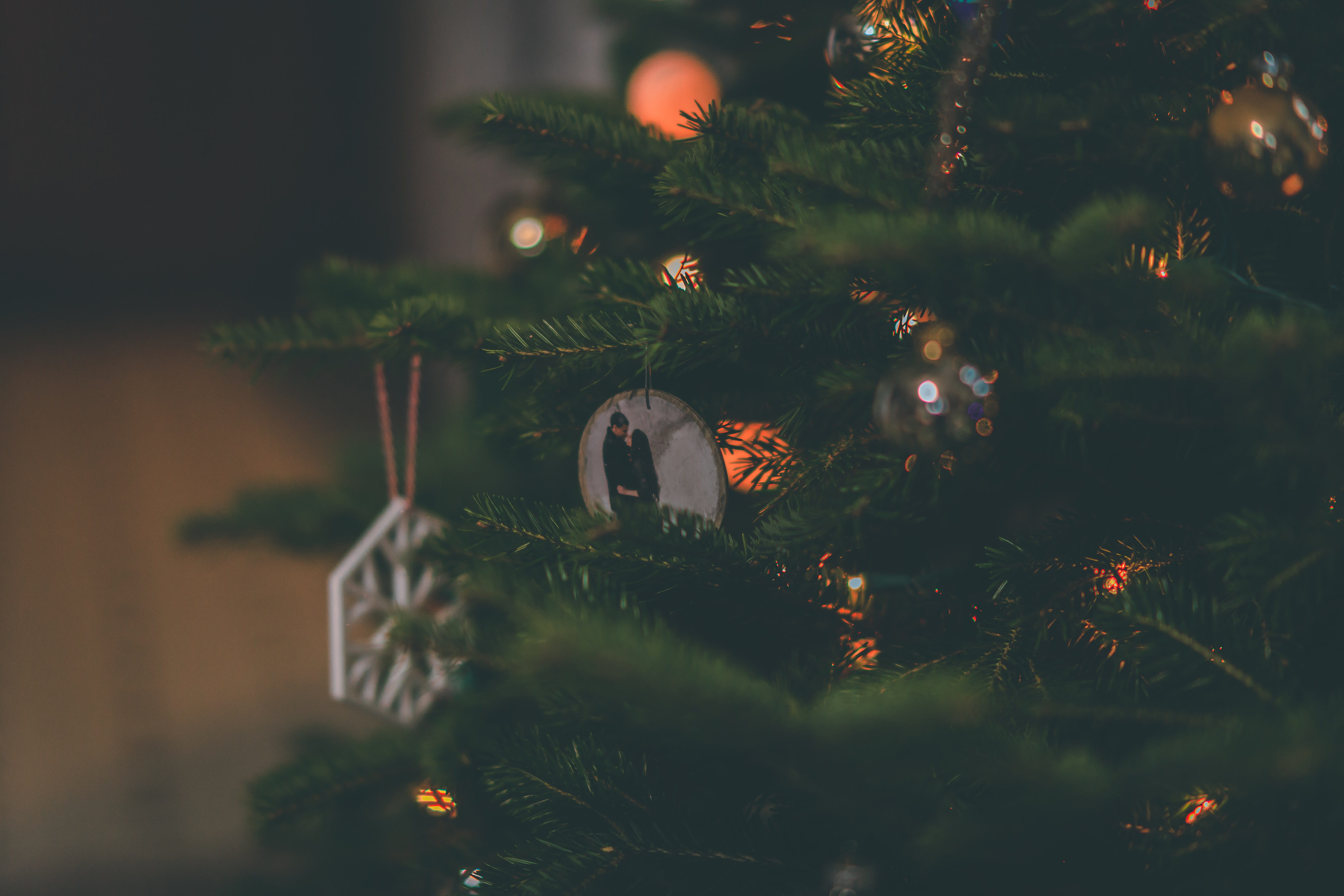 blurred background, lights, glisten, Christmas ornaments, animal, focus, christmas balls, christmas lights, plant, hanging, no people, christmas tree, traditional, HD Wallpaper