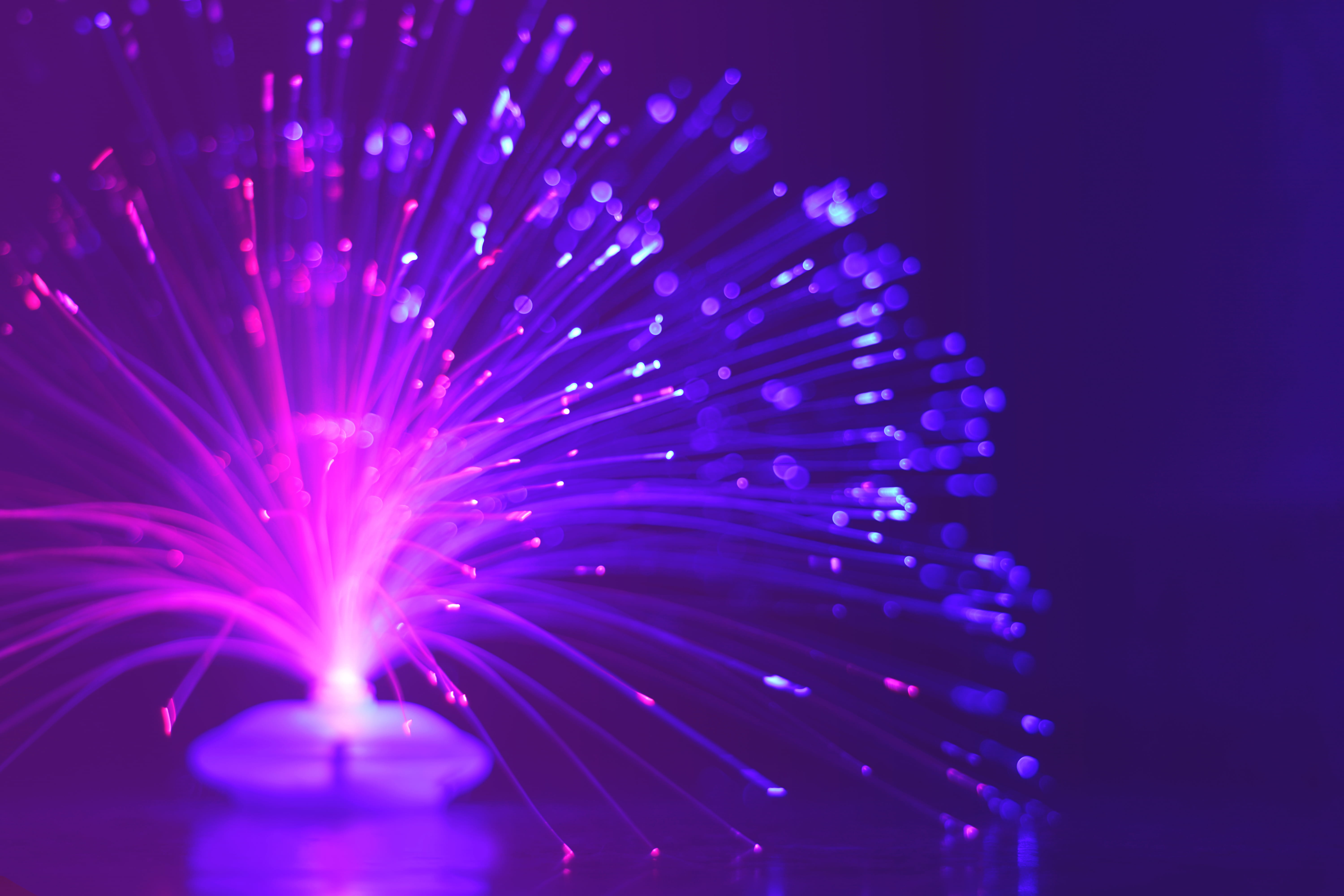 event, motion, beautiful, purple, pink, lighting equipment, bright, glow, celebration, night, technology, party - social event, abstract, focus, firework - man made object, HD Wallpaper