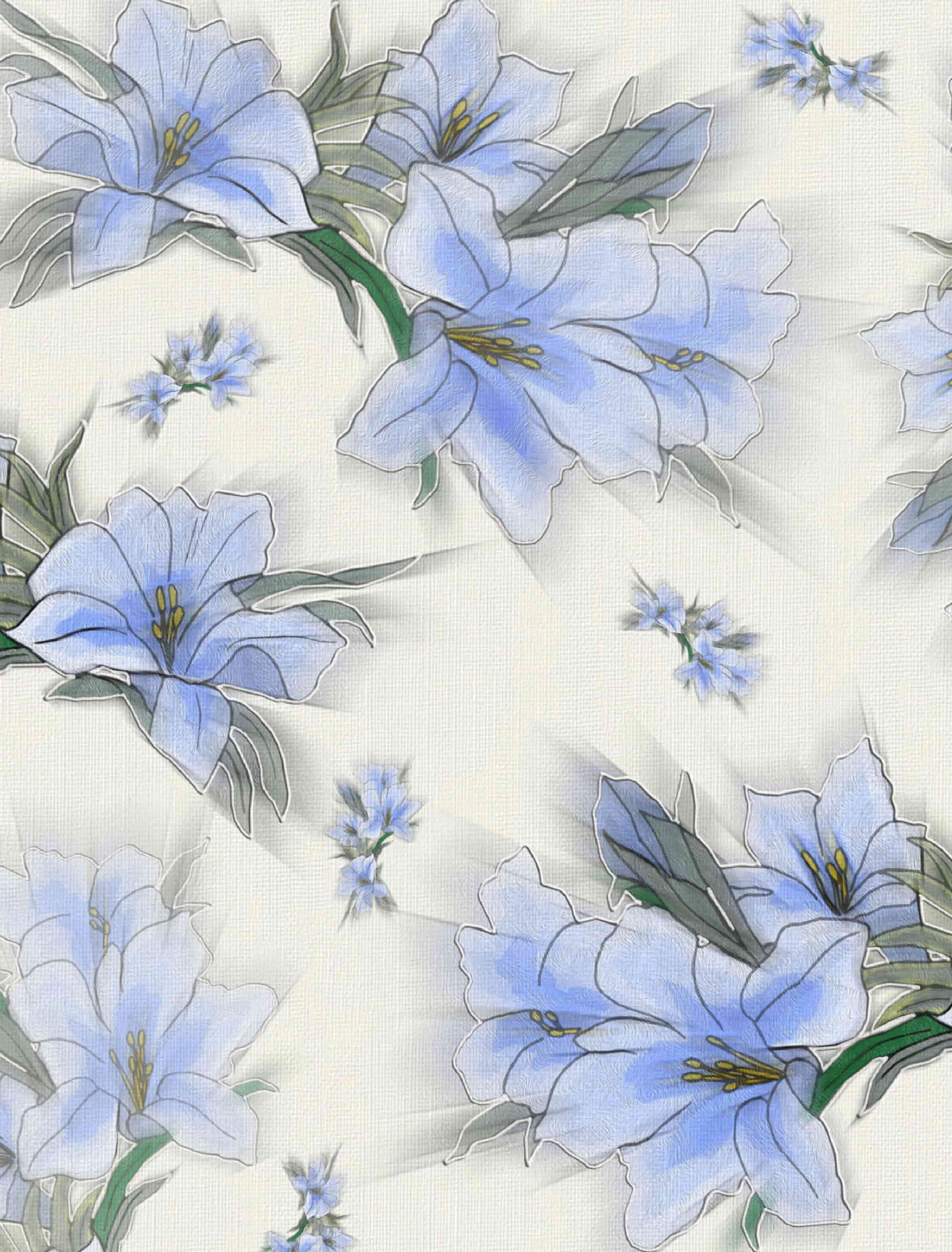 close, white color, 4K, floral, white, plant, flowers, flowering plant, photo, background, backgrounds, textured, full frame, design, flower head, blue, Phone HD Wallpaper